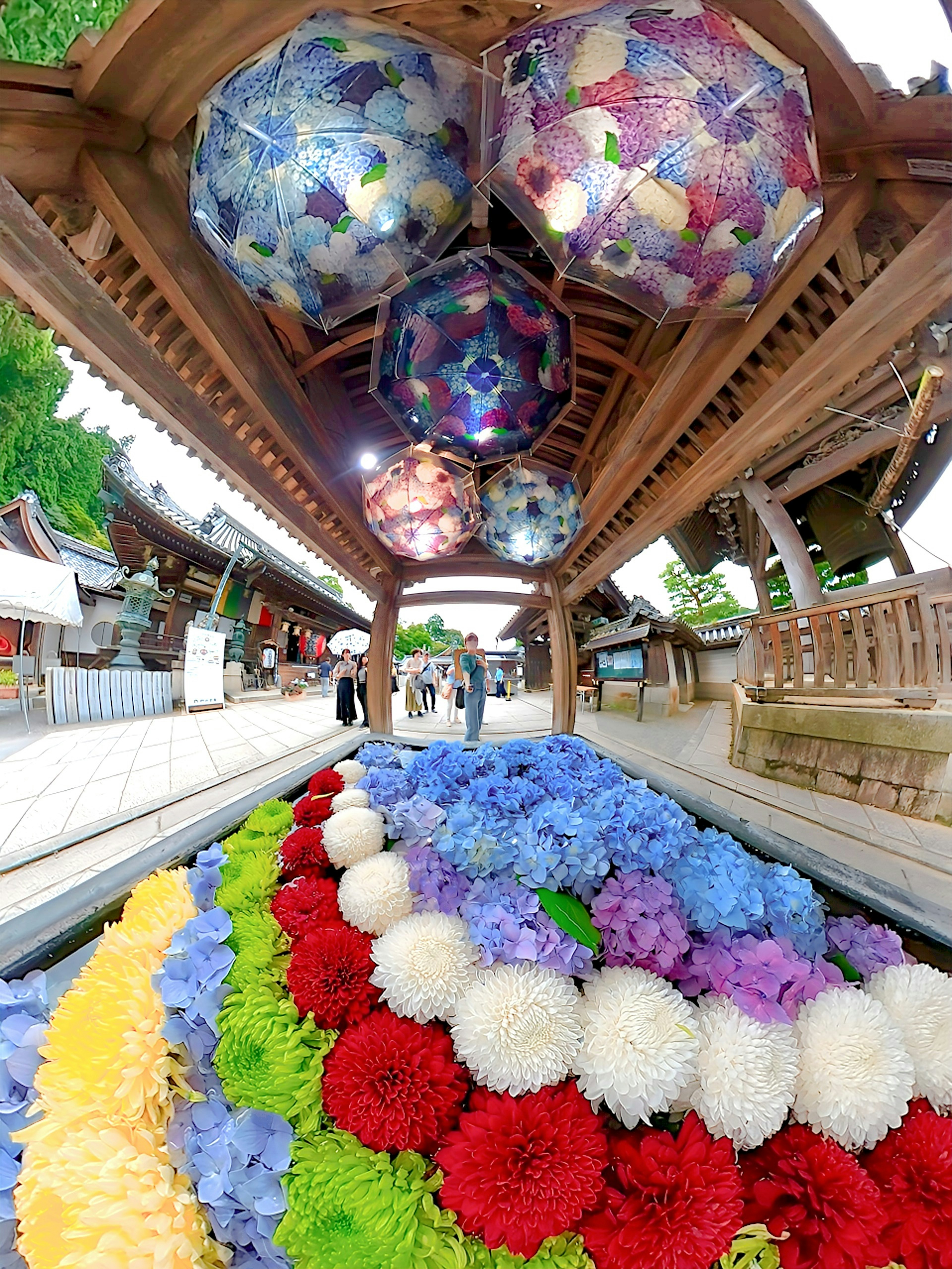 Fleurs colorées disposées le long d'un chemin avec des parapluies vibrants suspendus à une structure en bois