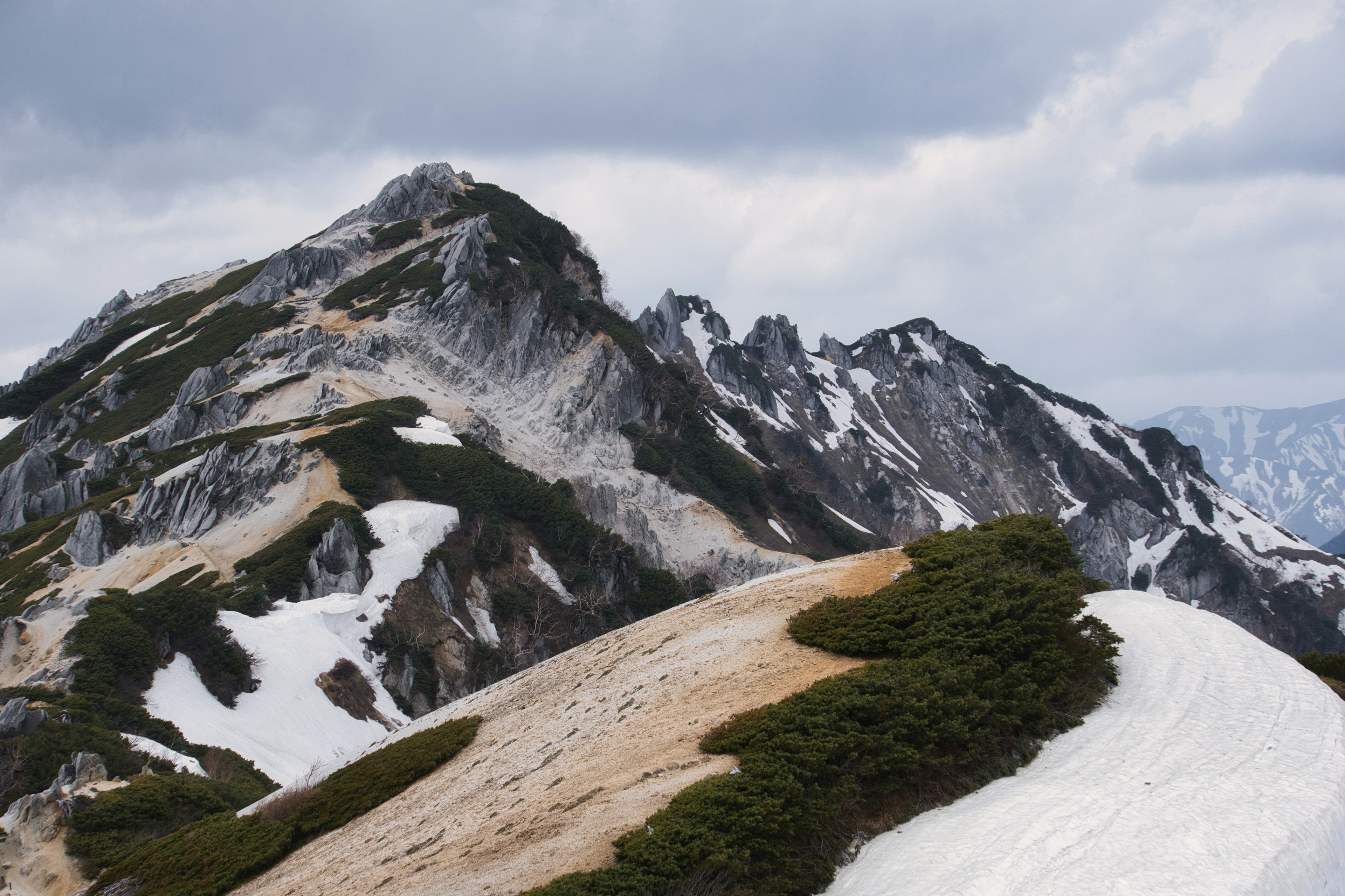 雪が残る山々と緑の草地が広がる風景