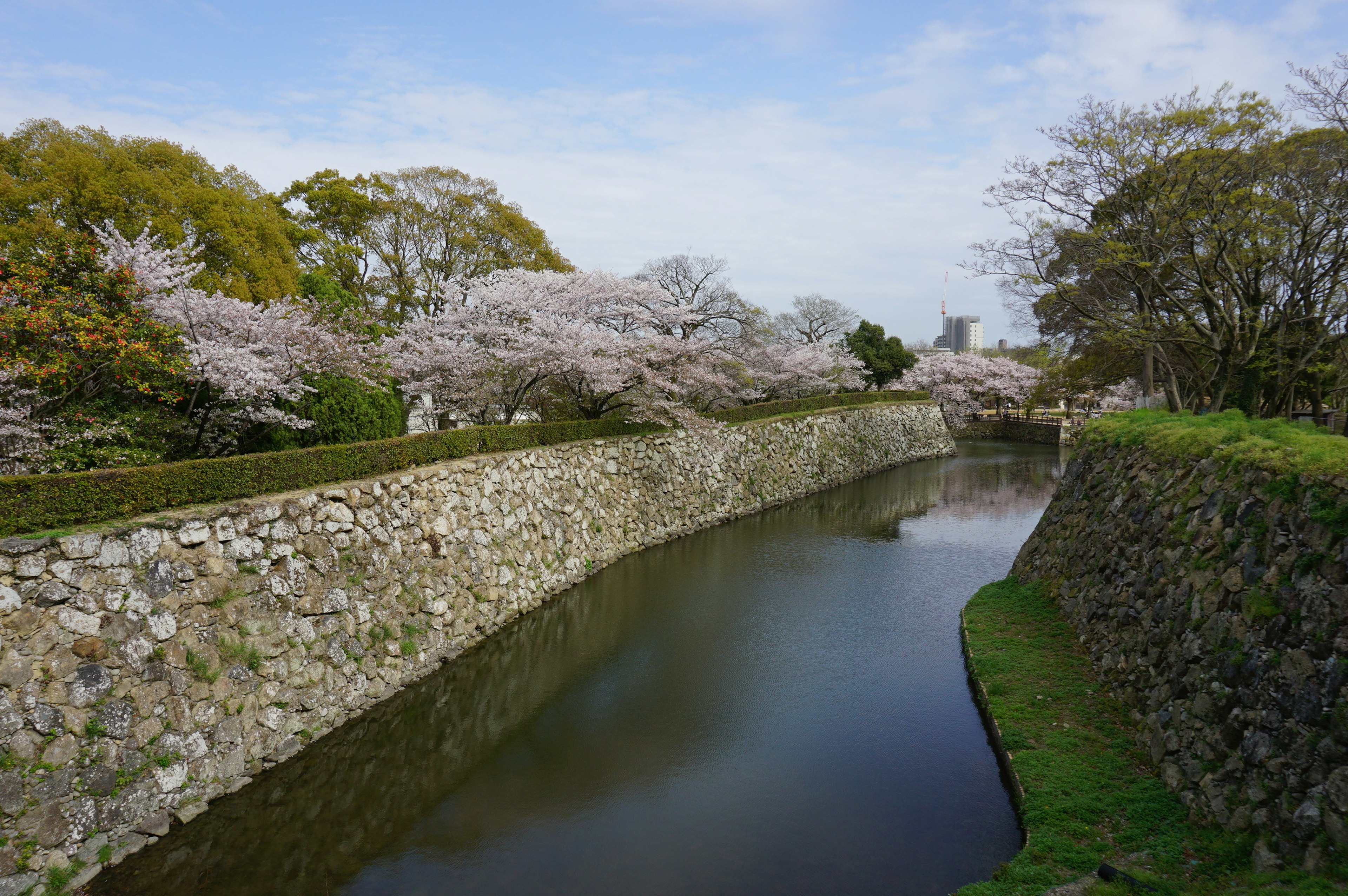 Scenic view of cherry blossom trees along a stone wall and tranquil water