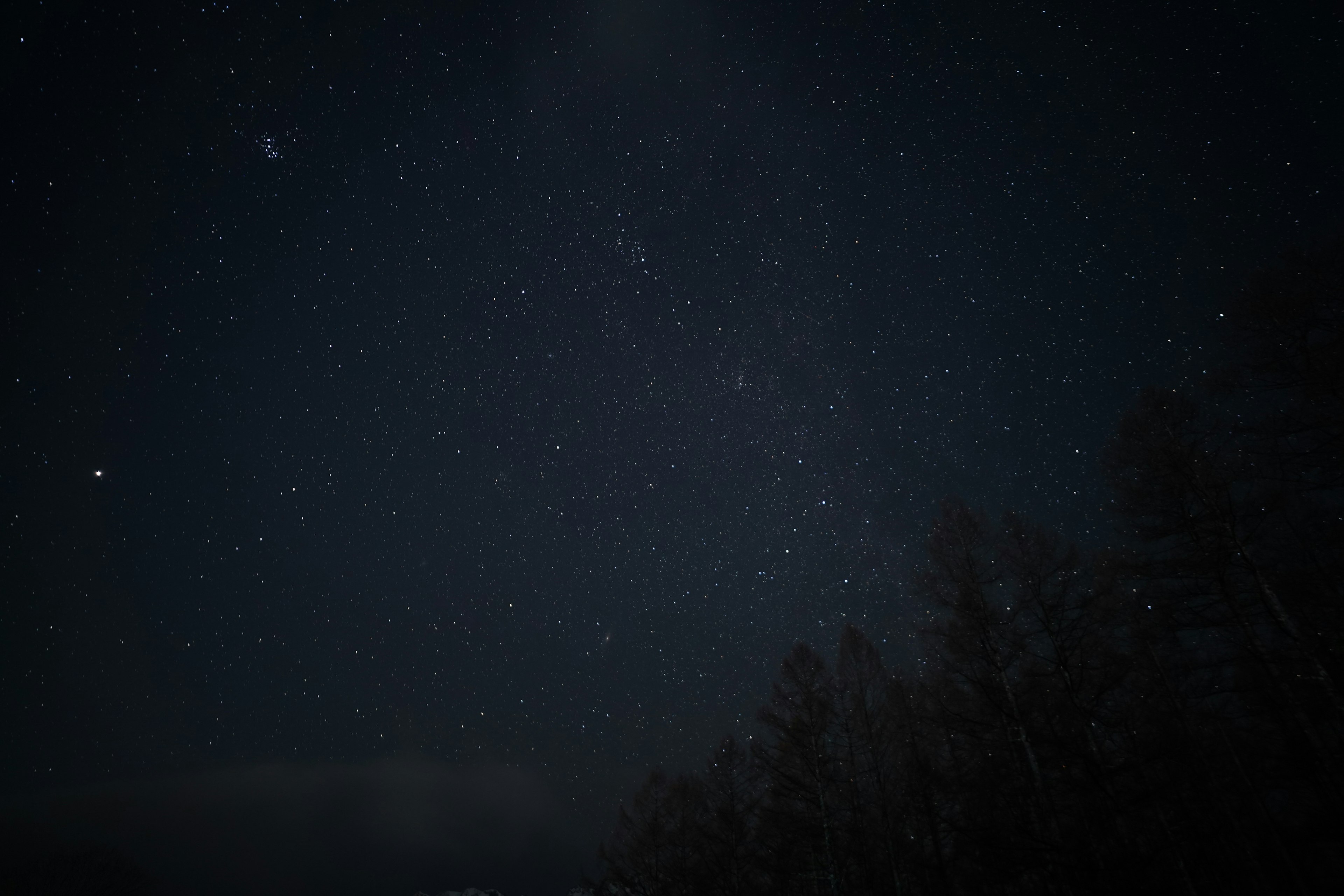 Cielo notturno stellato pieno di stelle scintillanti e sfondo scuro