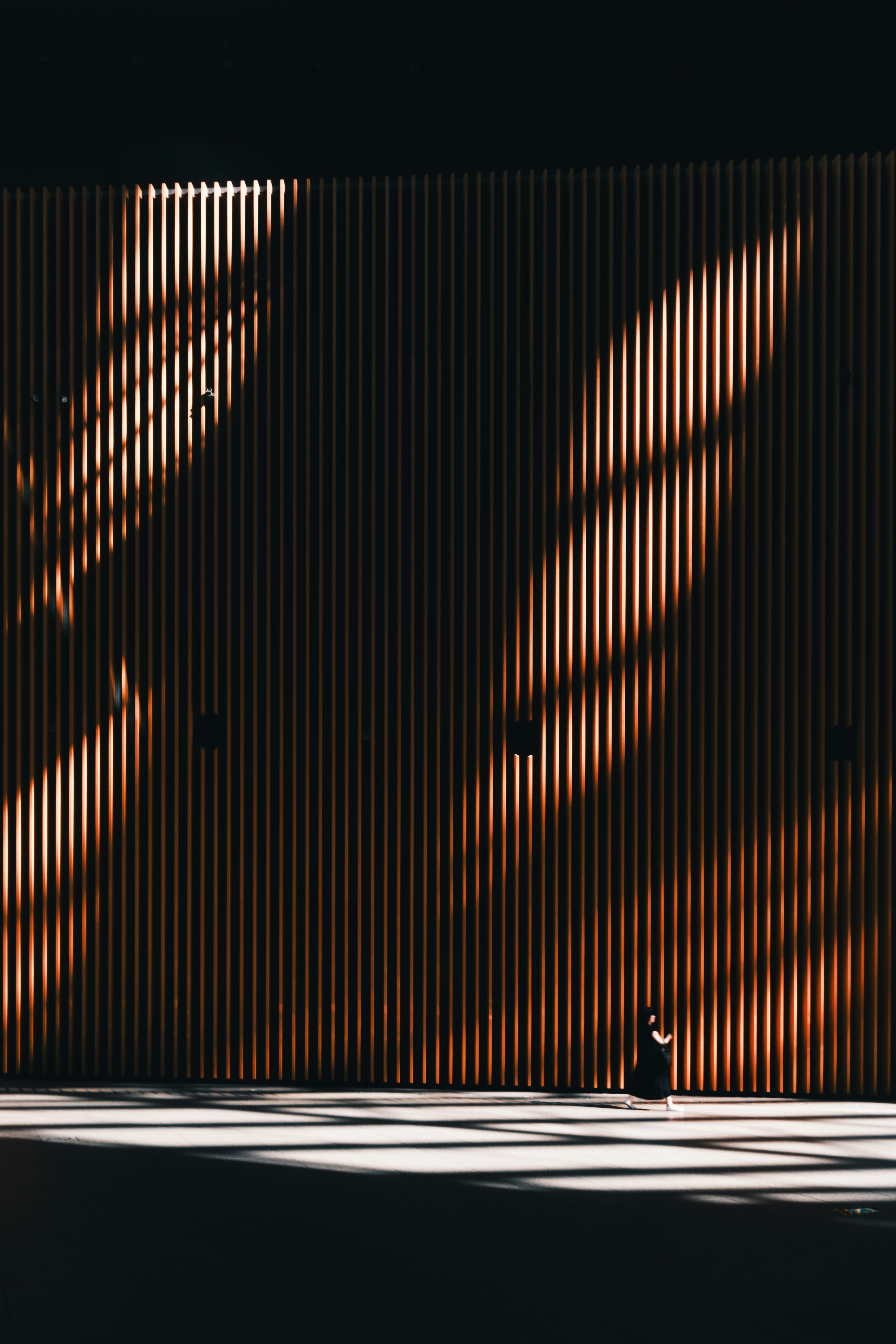 Beautiful shadows cast on a wooden wall creating a serene atmosphere