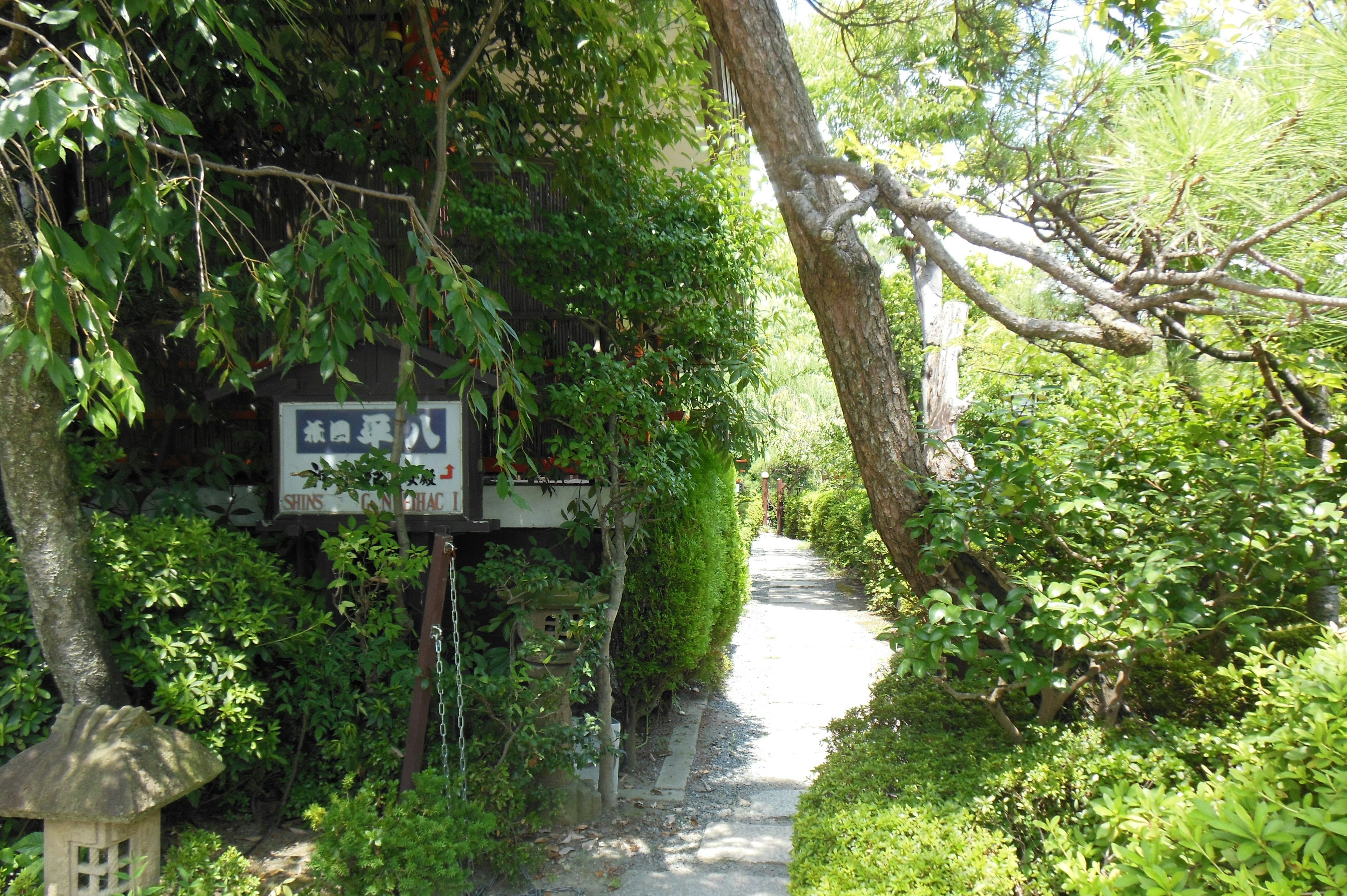 A lush pathway surrounded by greenery with a sign