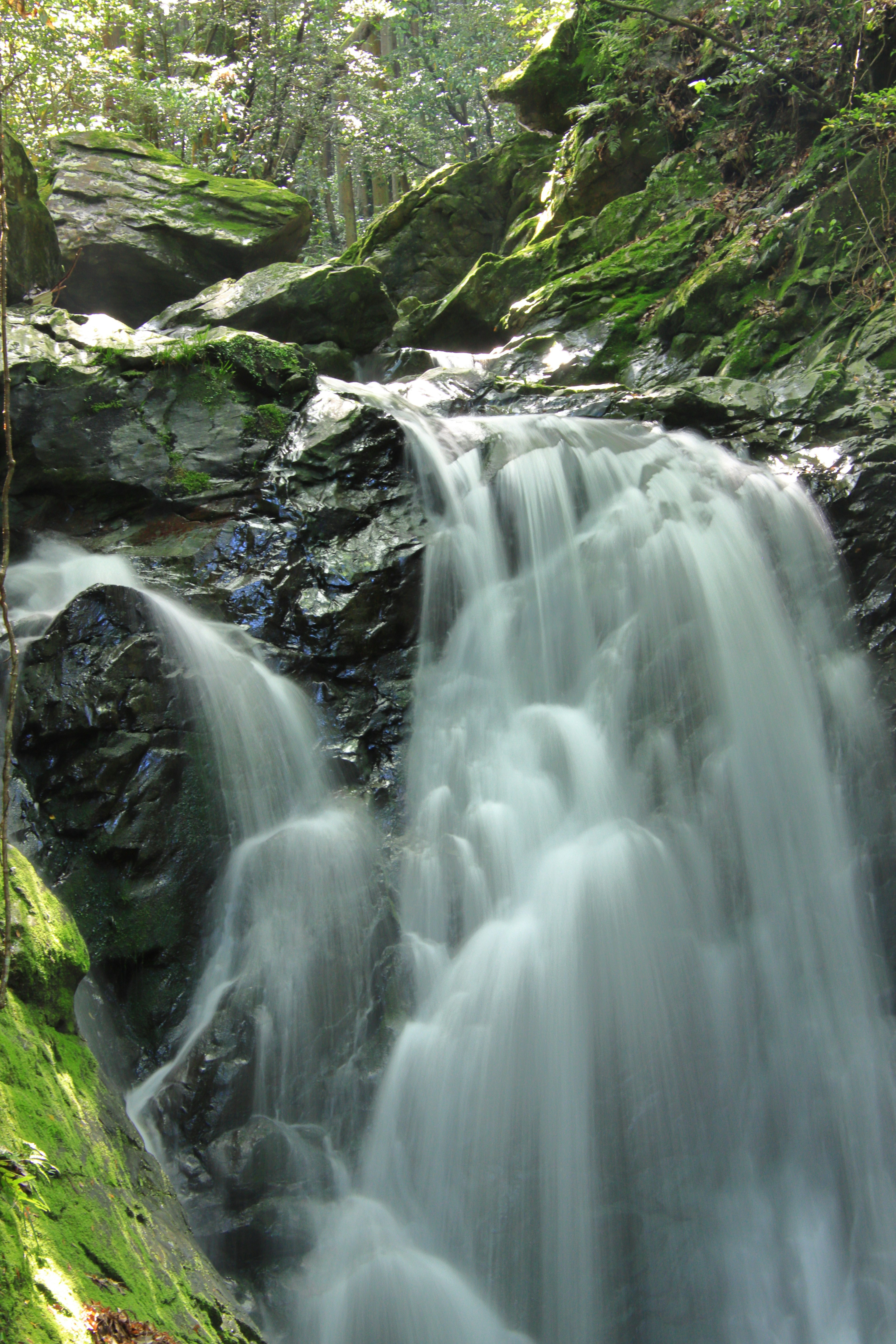 Hermosa cascada fluyendo entre rocas cubiertas de musgo