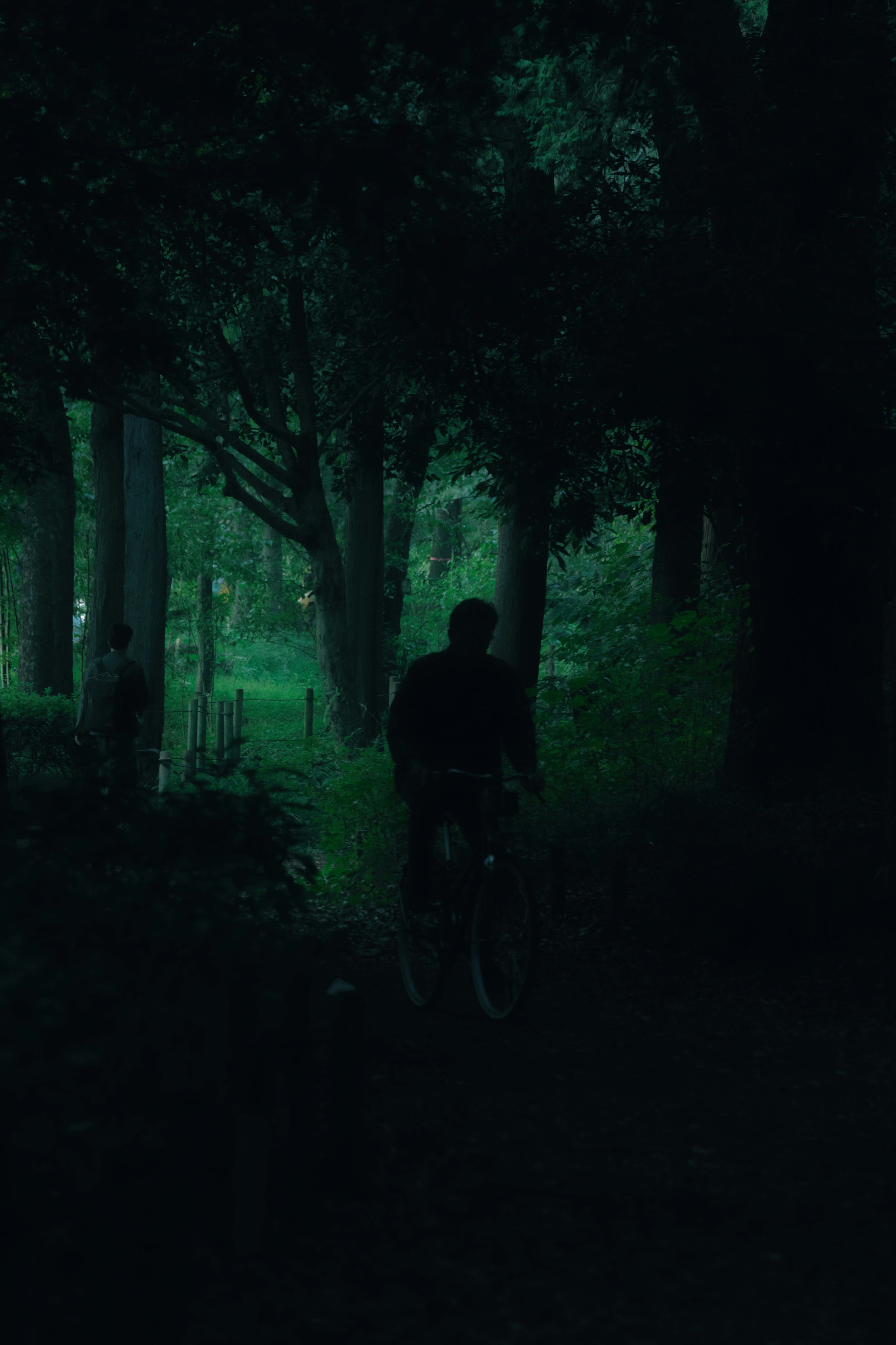 Silueta de una persona caminando en un bosque tenuemente iluminado