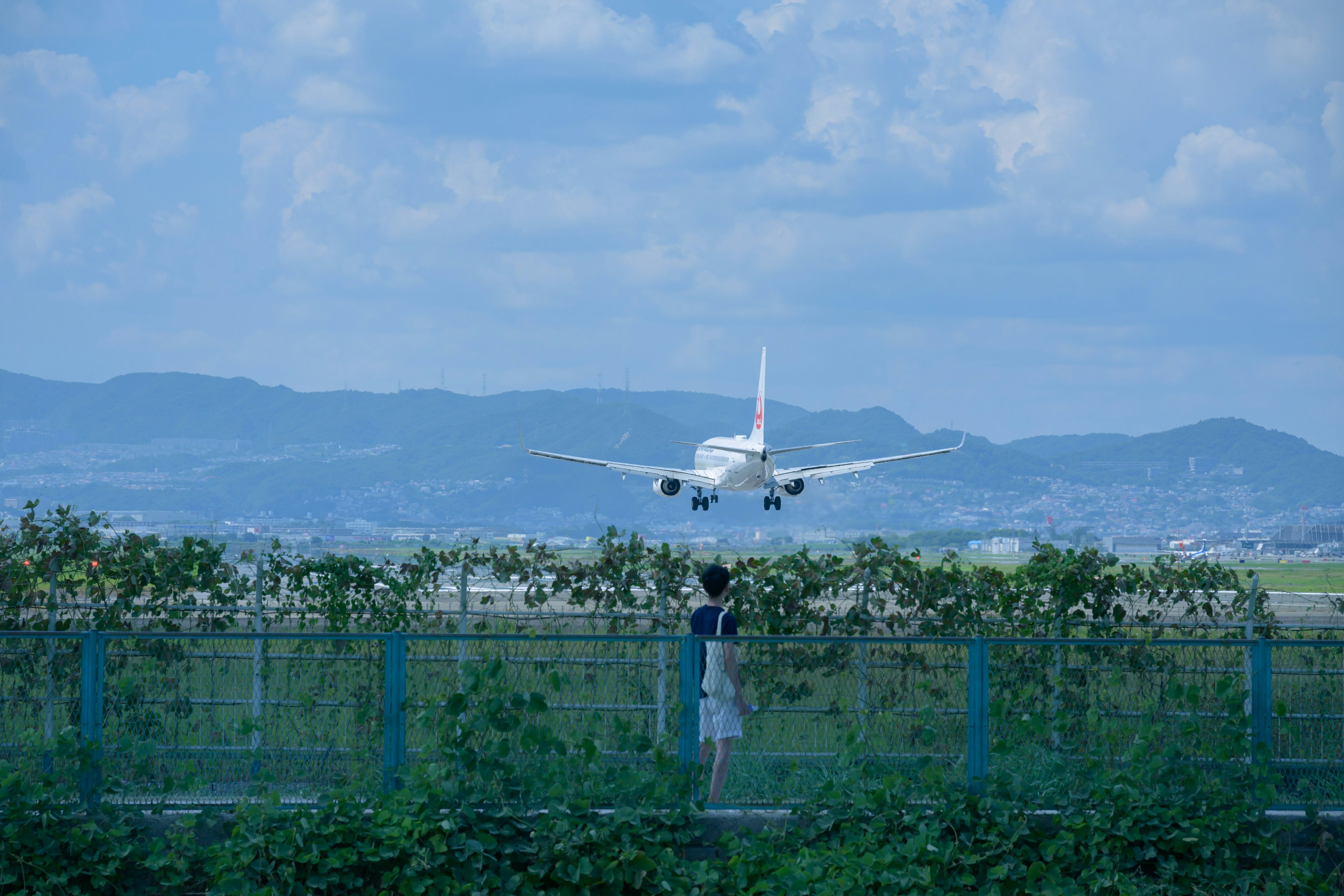 An airplane landing against a blue sky with a person watching