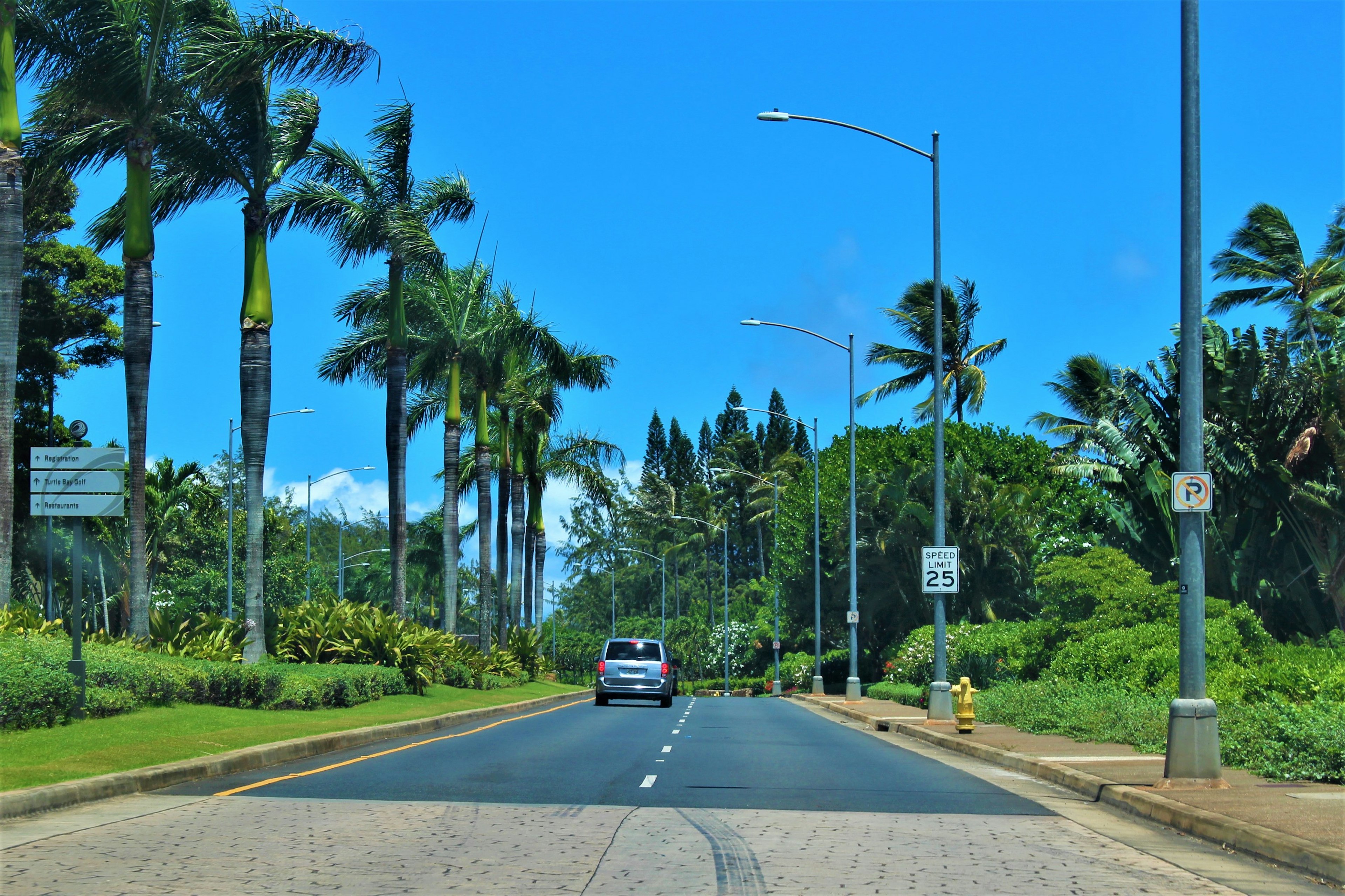 Un coche conduciendo por una carretera flanqueada de palmeras bajo un cielo azul