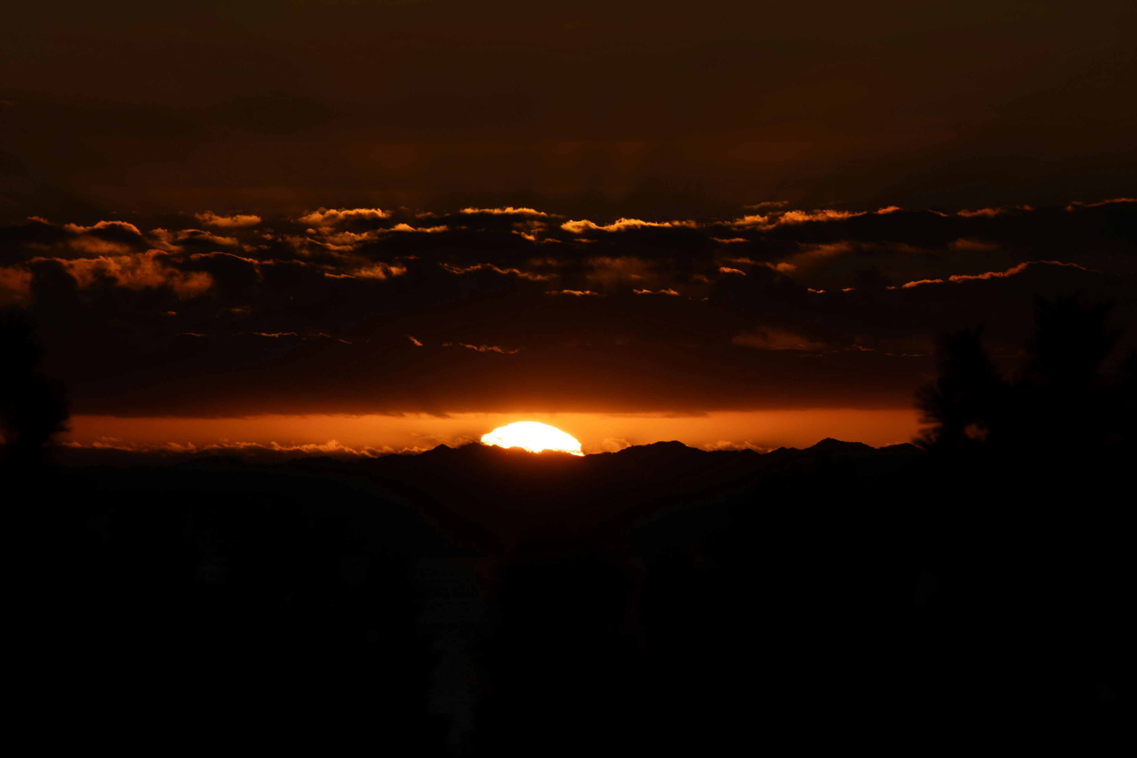 夕日が沈む美しい風景 黒いシルエットの木々とオレンジ色の空