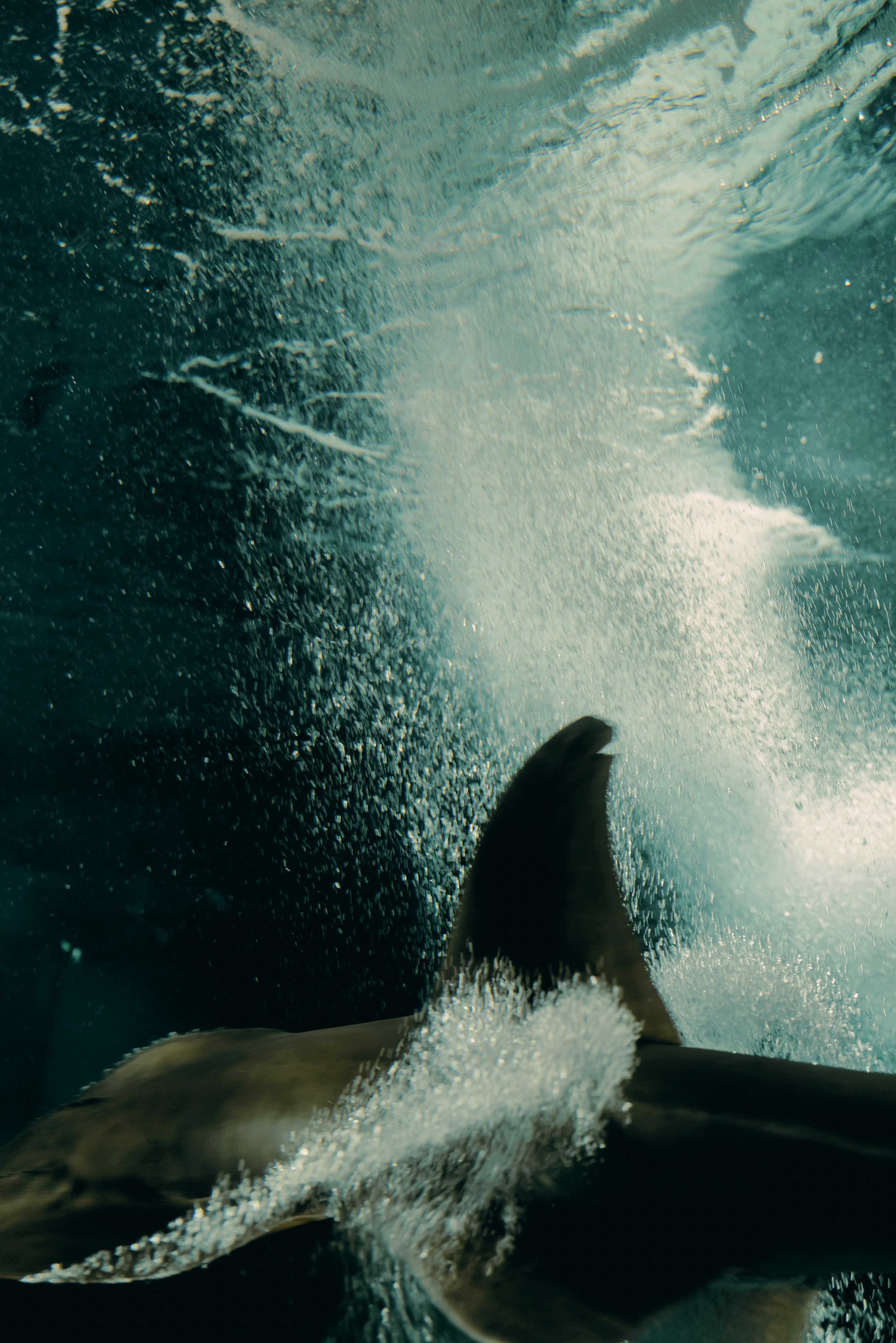 Escena dinámica de la aleta dorsal de un tiburón y salpicaduras de agua bajo el agua