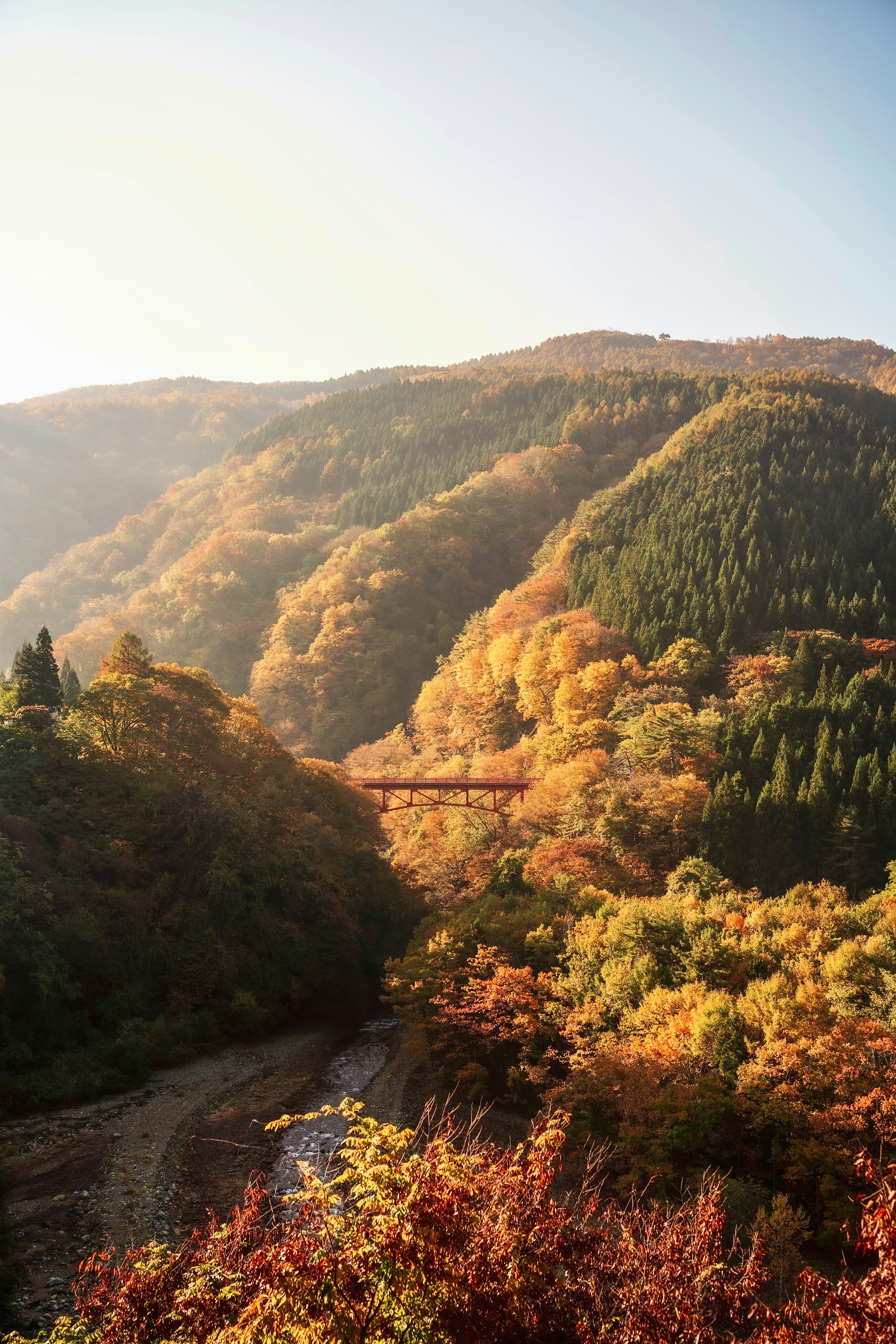 美しい秋の風景、色とりどりの葉が茂る山々、柔らかな光が山を照らす