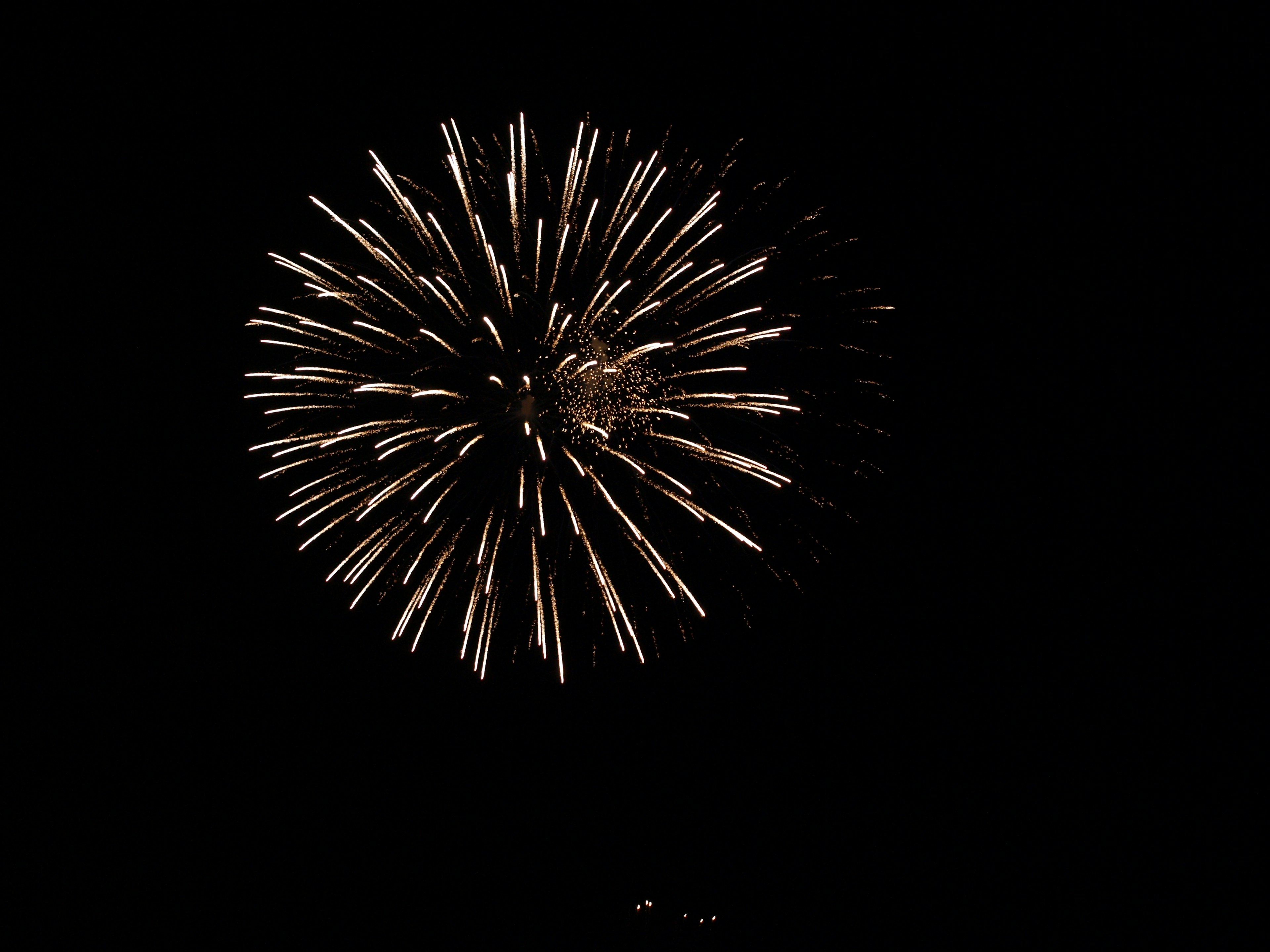 Golden fireworks explosion against a black background