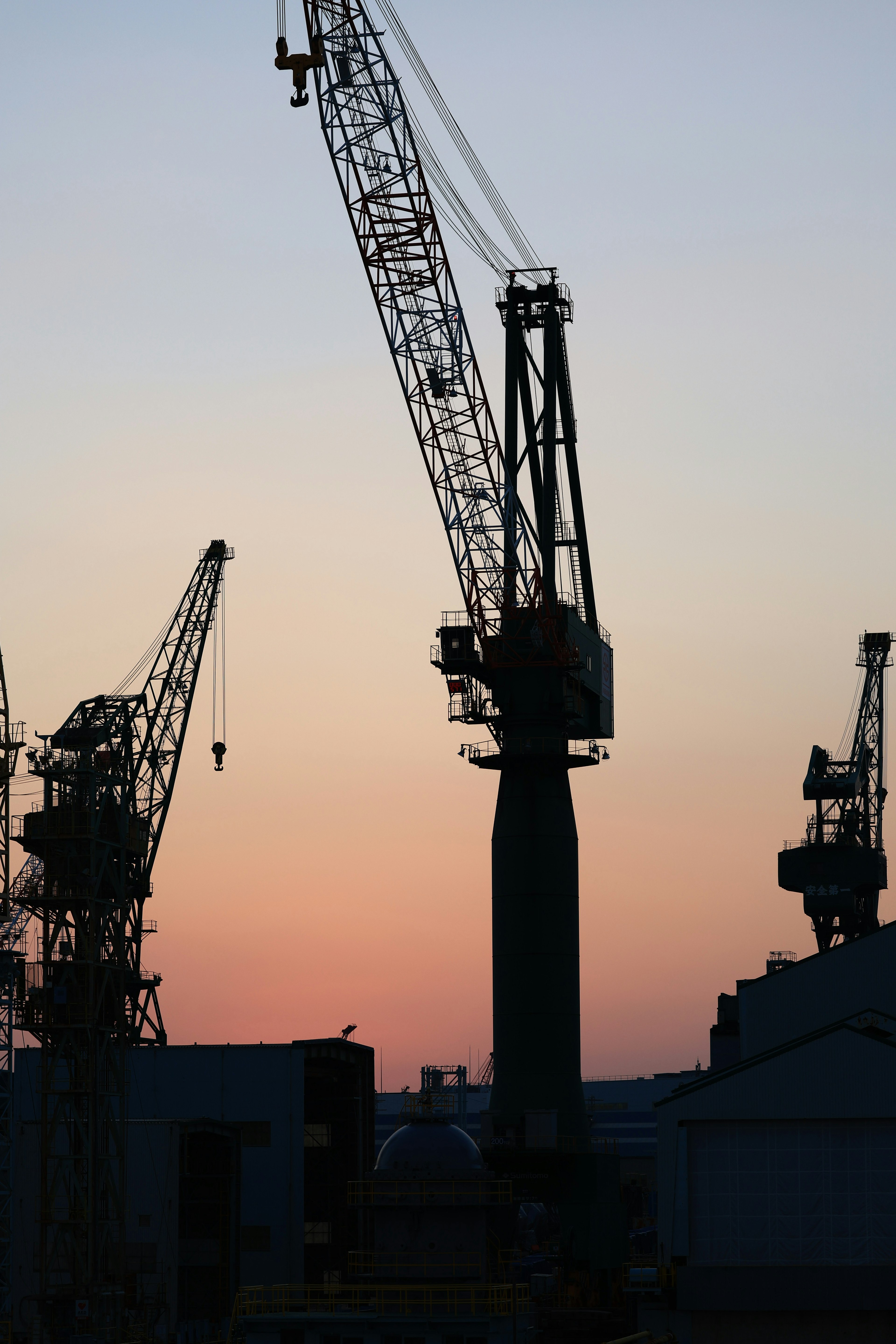 Grues en silhouette contre un ciel au coucher du soleil