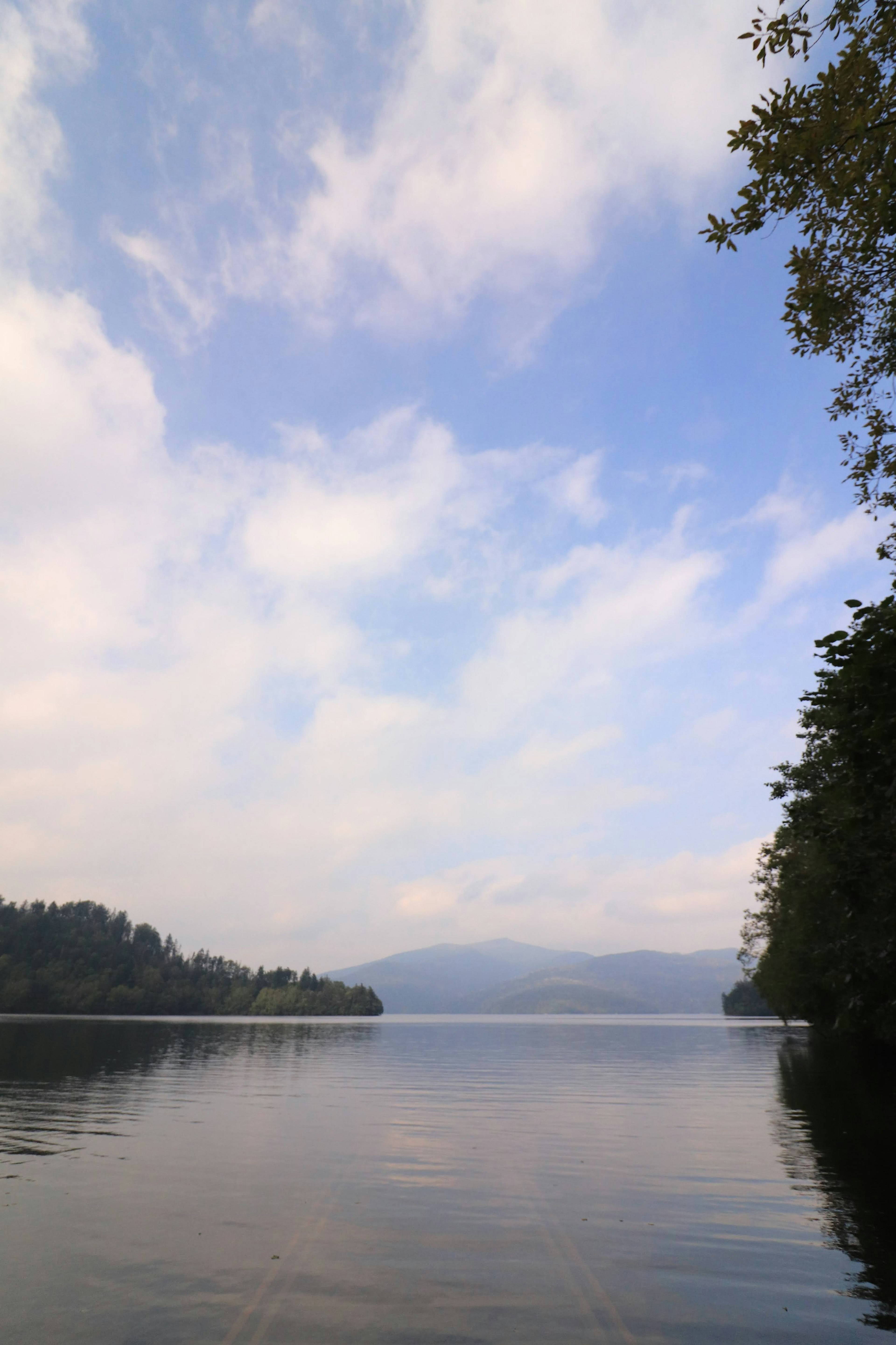 Vue pittoresque d'un lac calme sous un ciel bleu avec des montagnes lointaines et une forêt à proximité