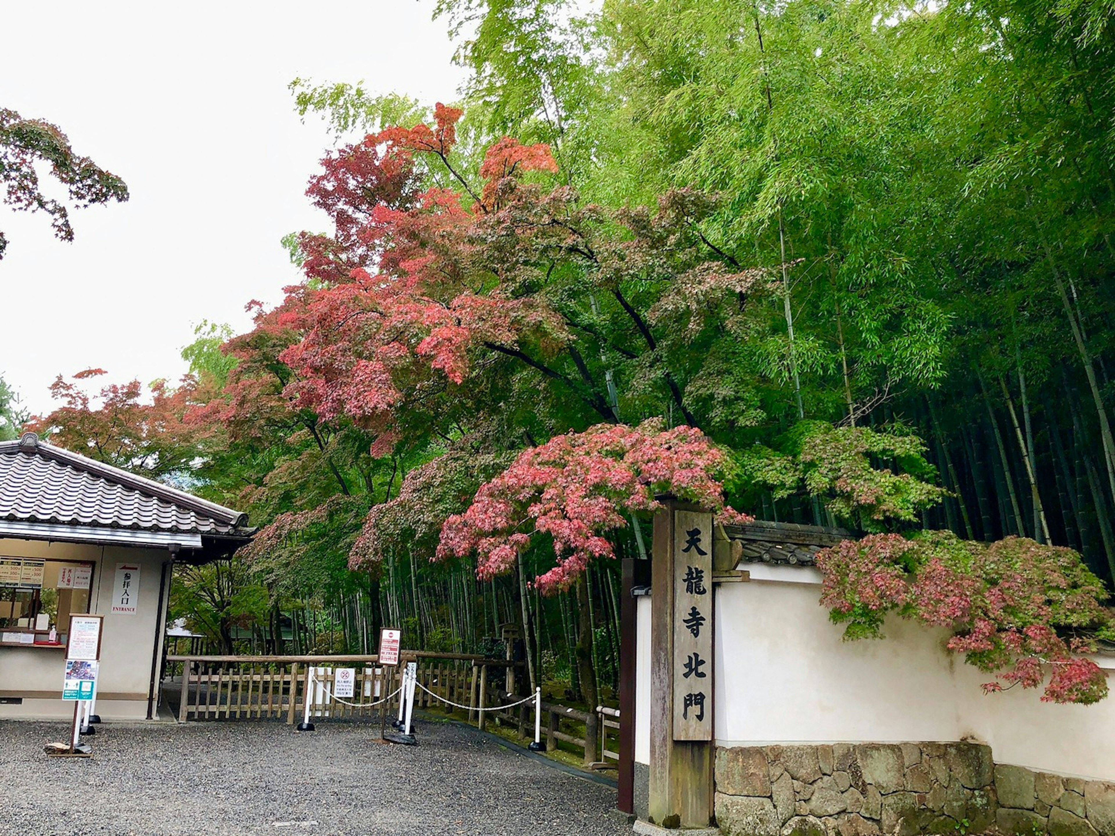 Entrada a un jardín japonés con vibrante follaje de otoño y bambú