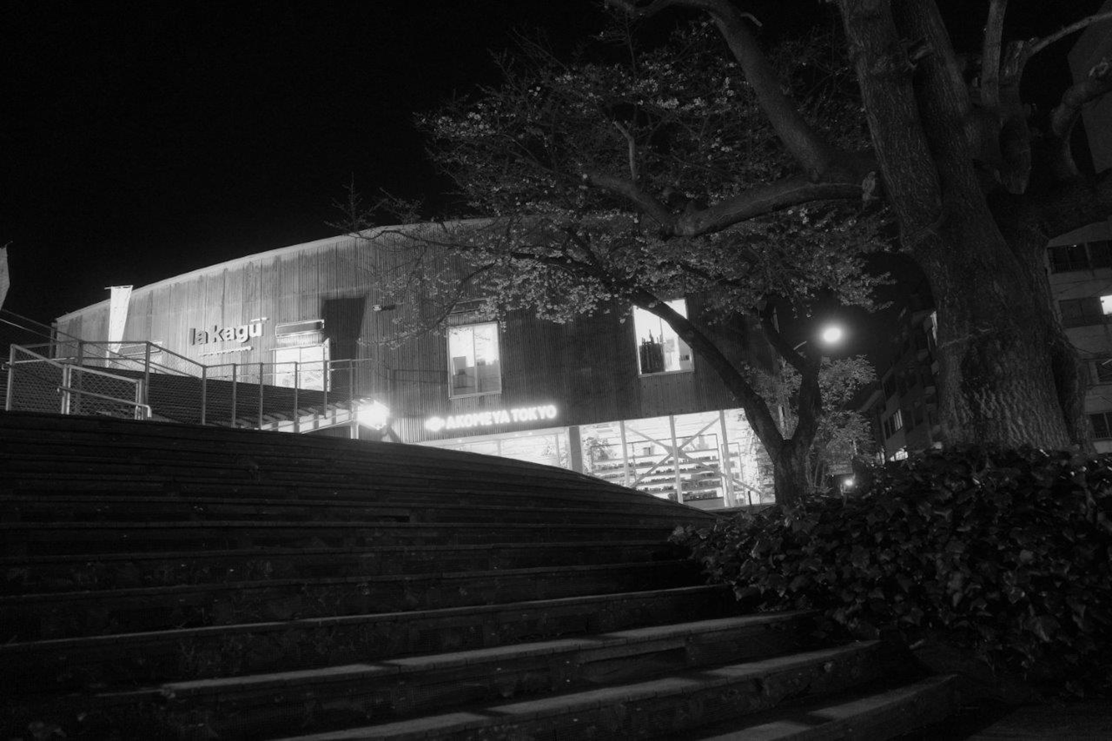 Escena nocturna con escaleras y árboles con un edificio moderno al fondo