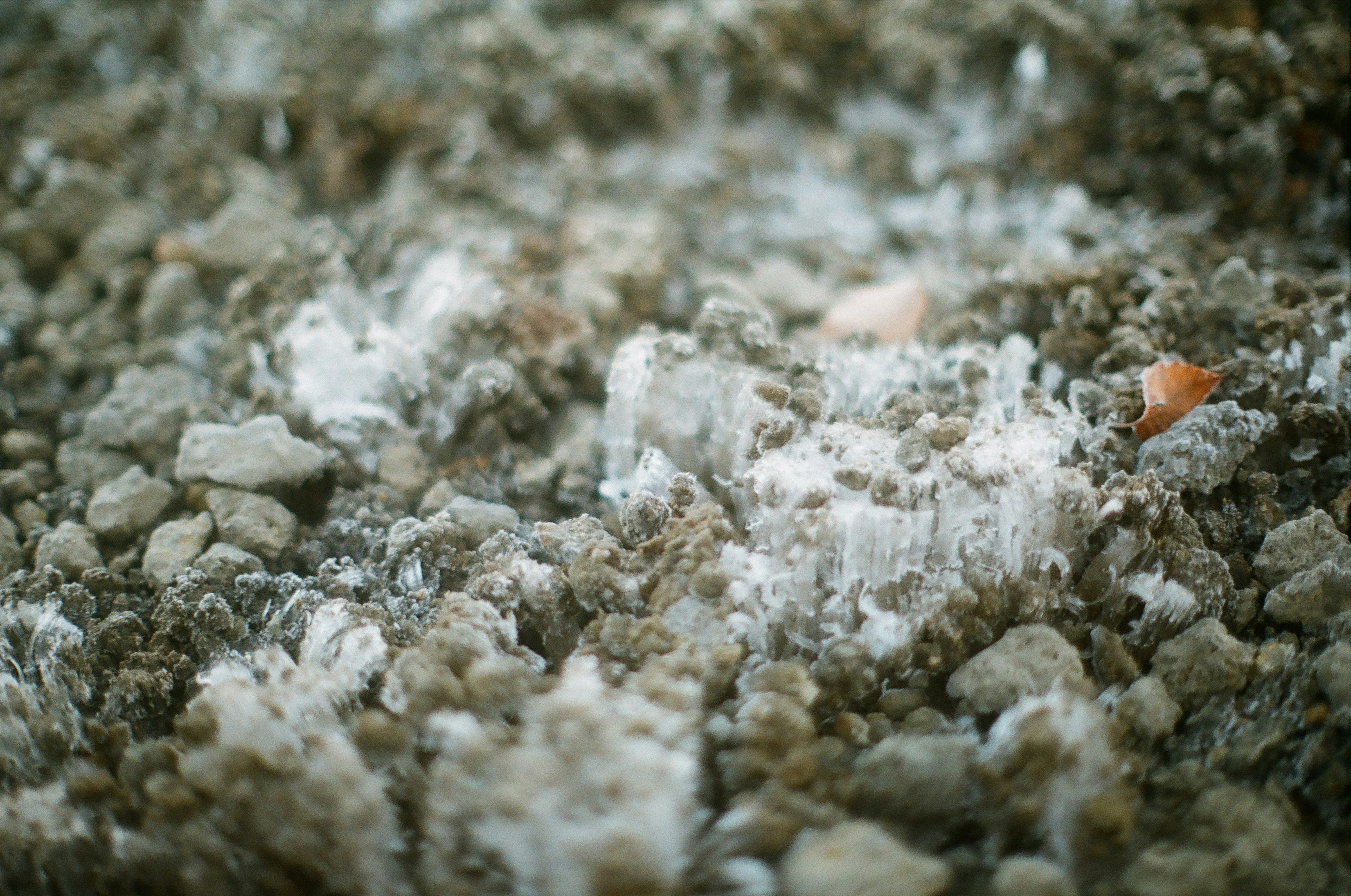 Primer plano del suelo con piedras finas y formaciones cristalinas blancas