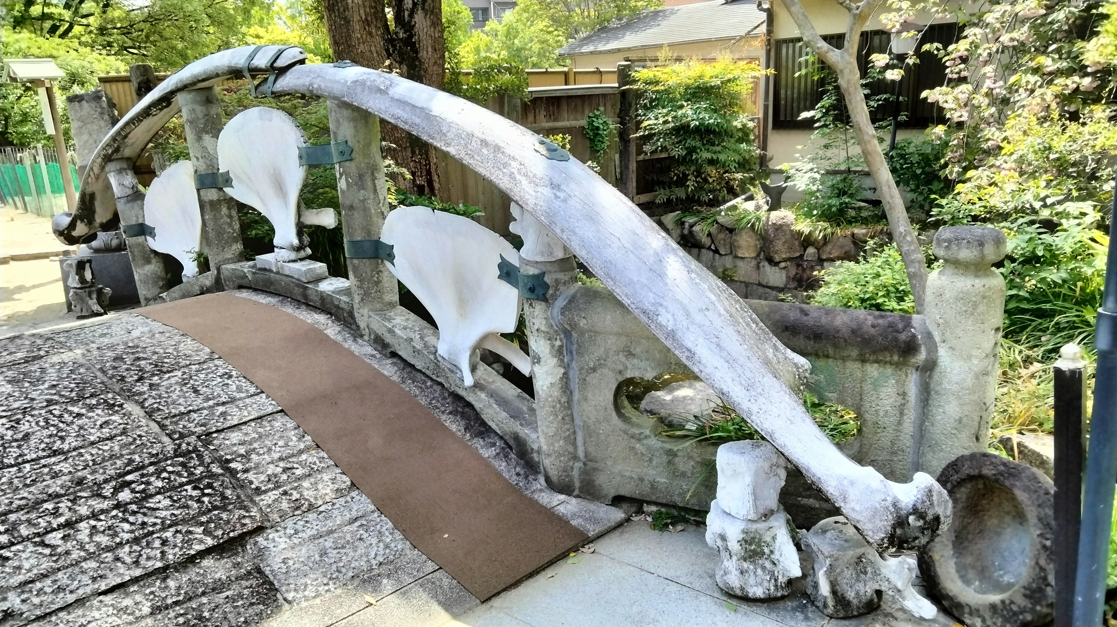 Un beau pont fait d'os de baleine blanche dans un cadre de jardin luxuriant