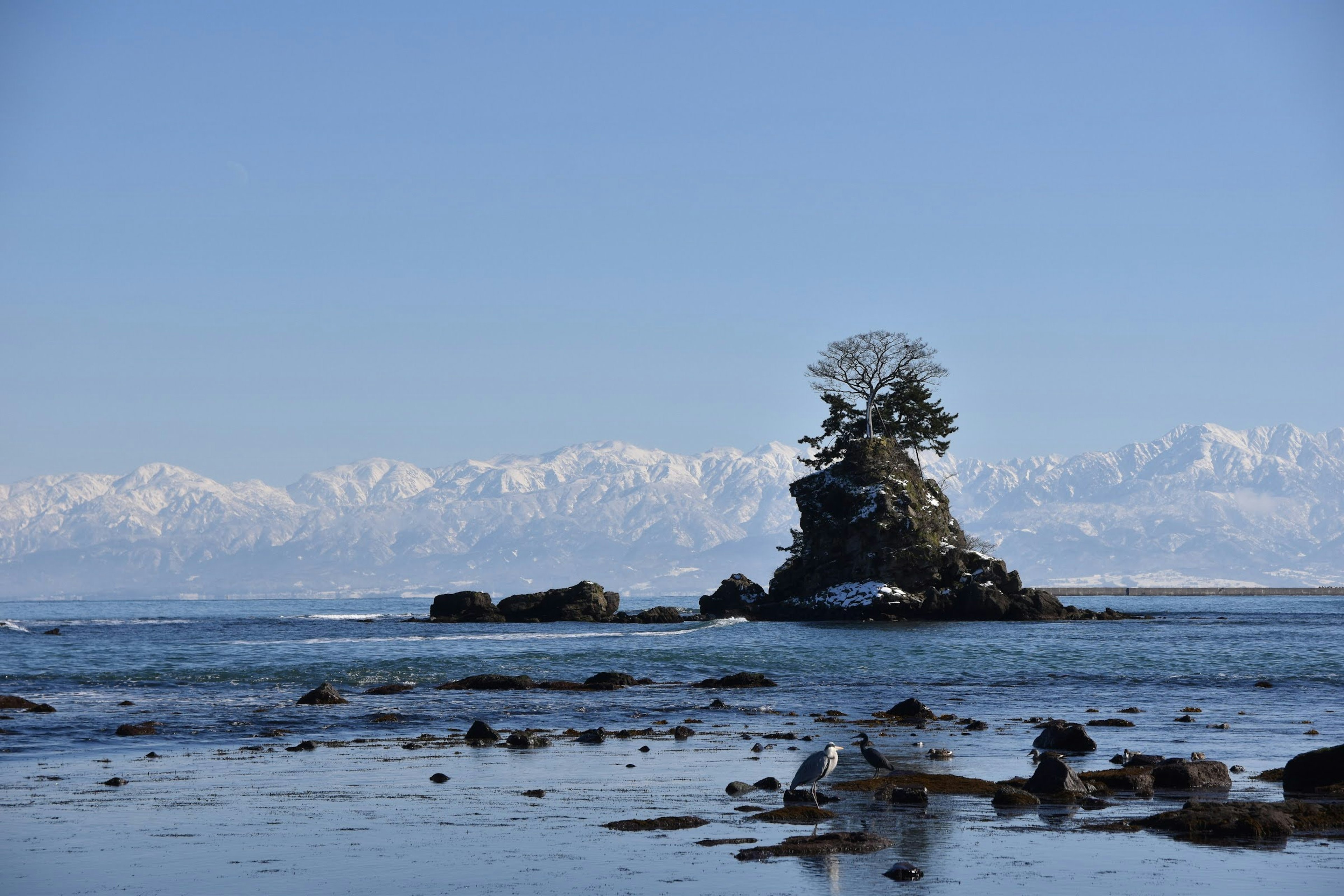 Pequeña isla con un árbol frente a un mar azul y montañas nevadas