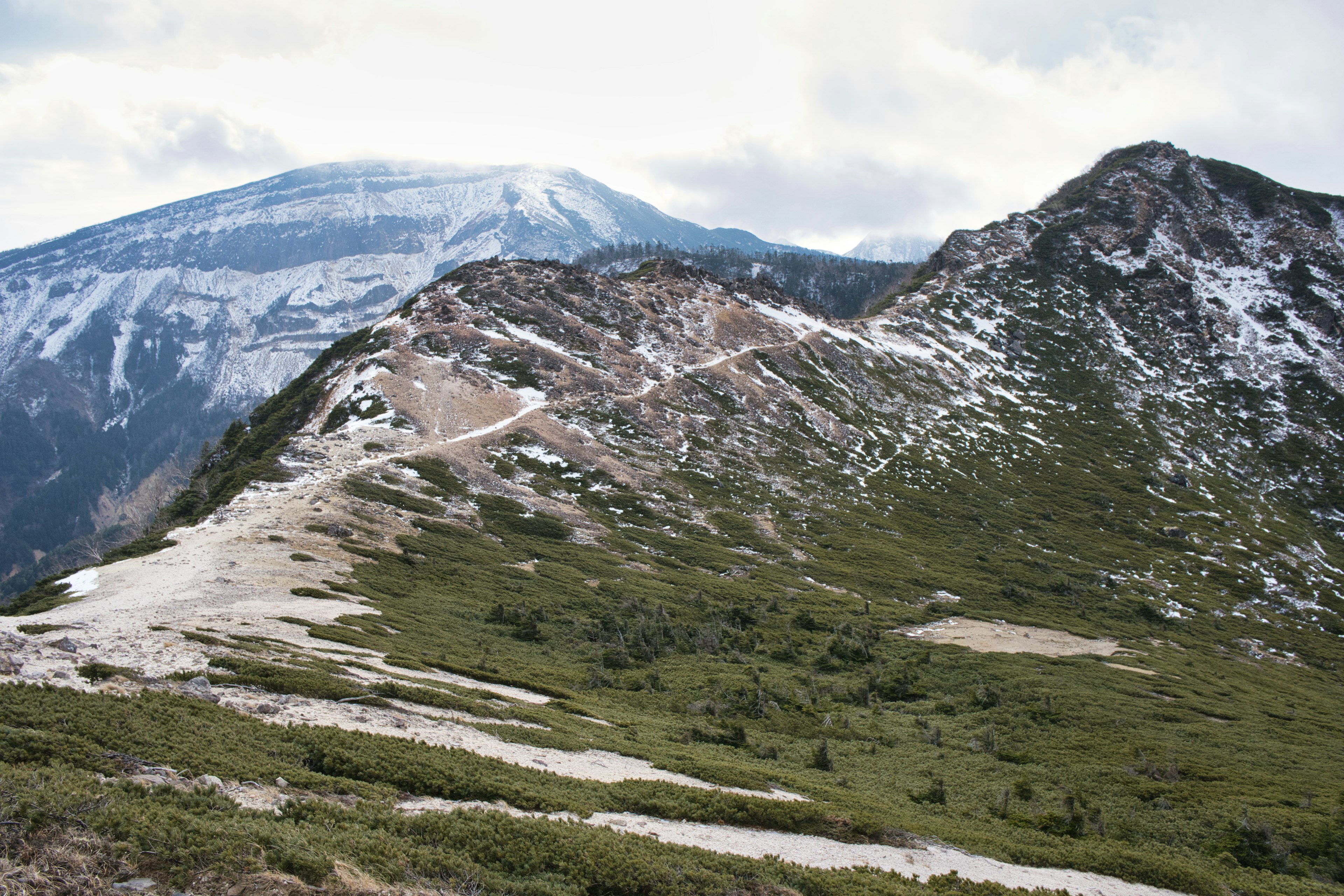 Panoramablick auf schneebedeckte Berge und grüne Wiesen