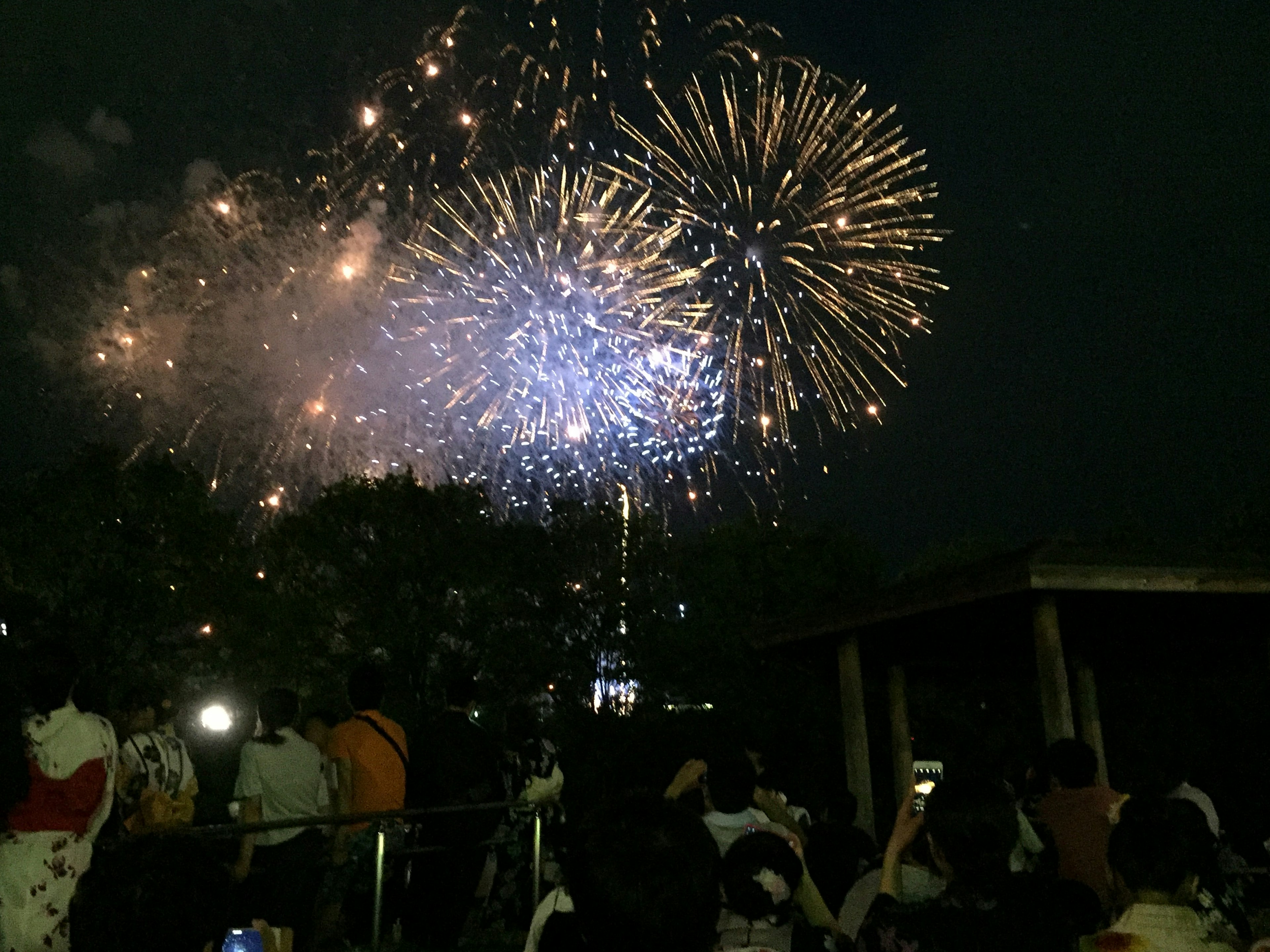 Fuochi d'artificio colorati che illuminano il cielo notturno con silhouette di spettatori