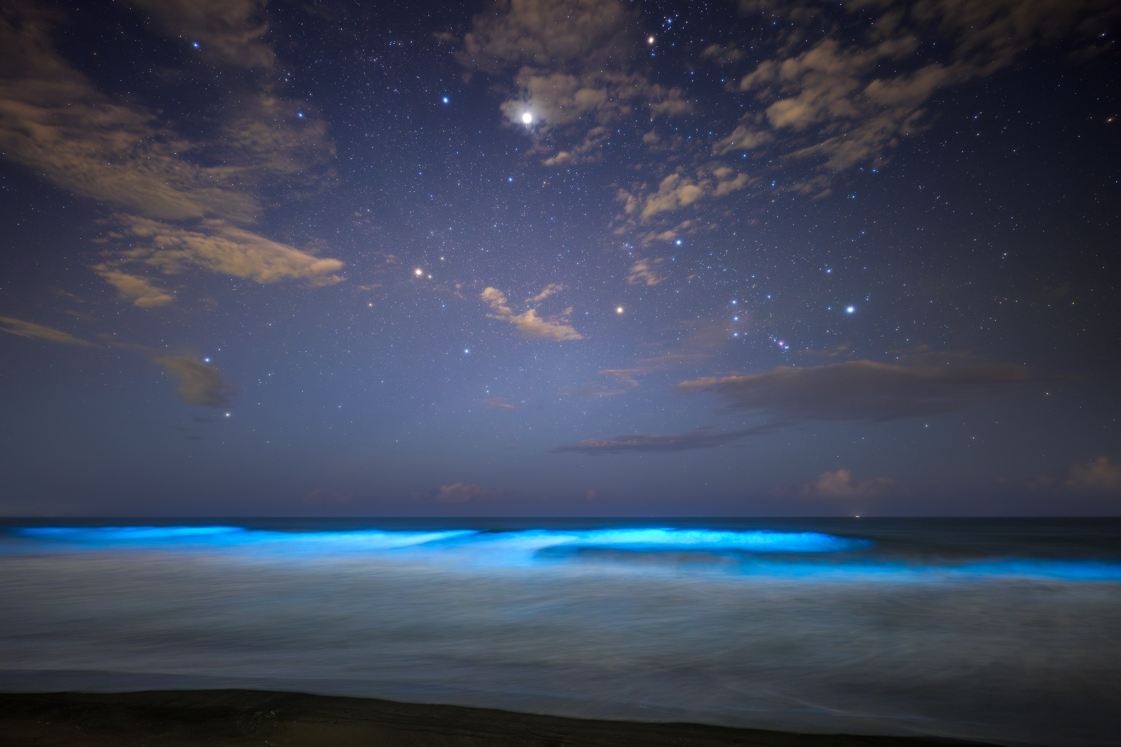 Starry night sky with glowing blue ocean waves