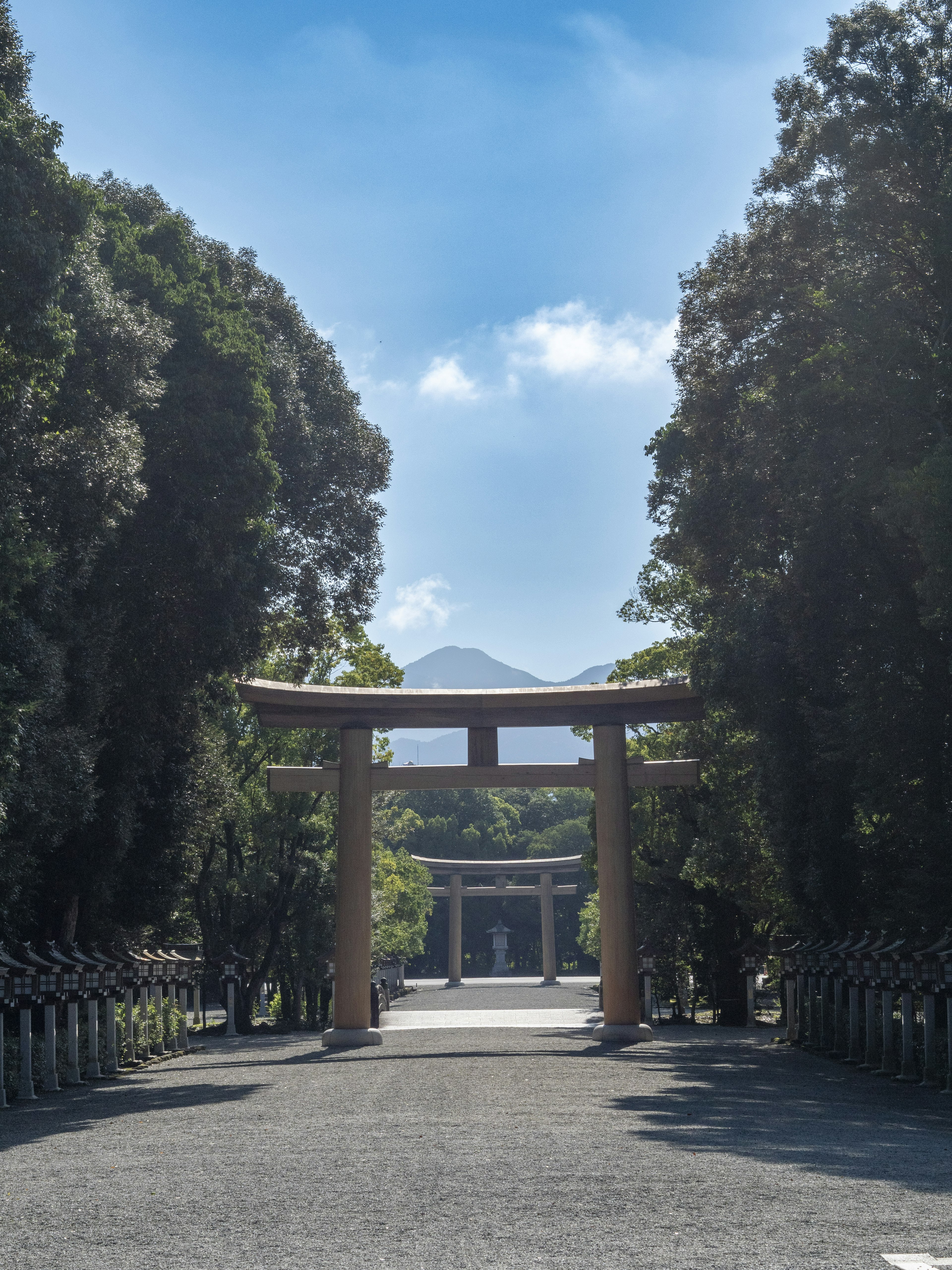 Cảnh nhìn vào cổng torii được bao quanh bởi cây cối với núi ở phía sau