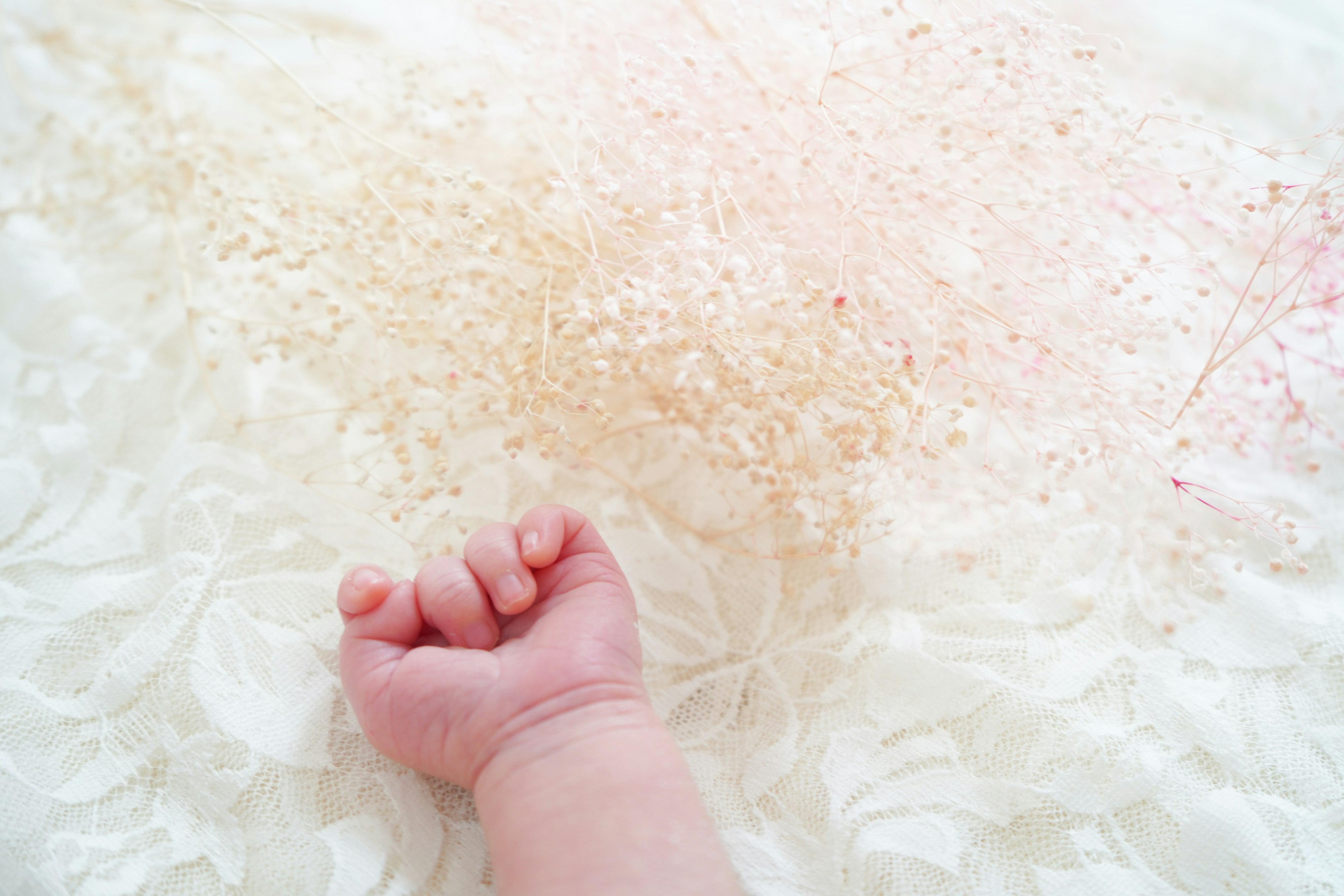 A baby's small hand resting on a soft white surface with delicate petals