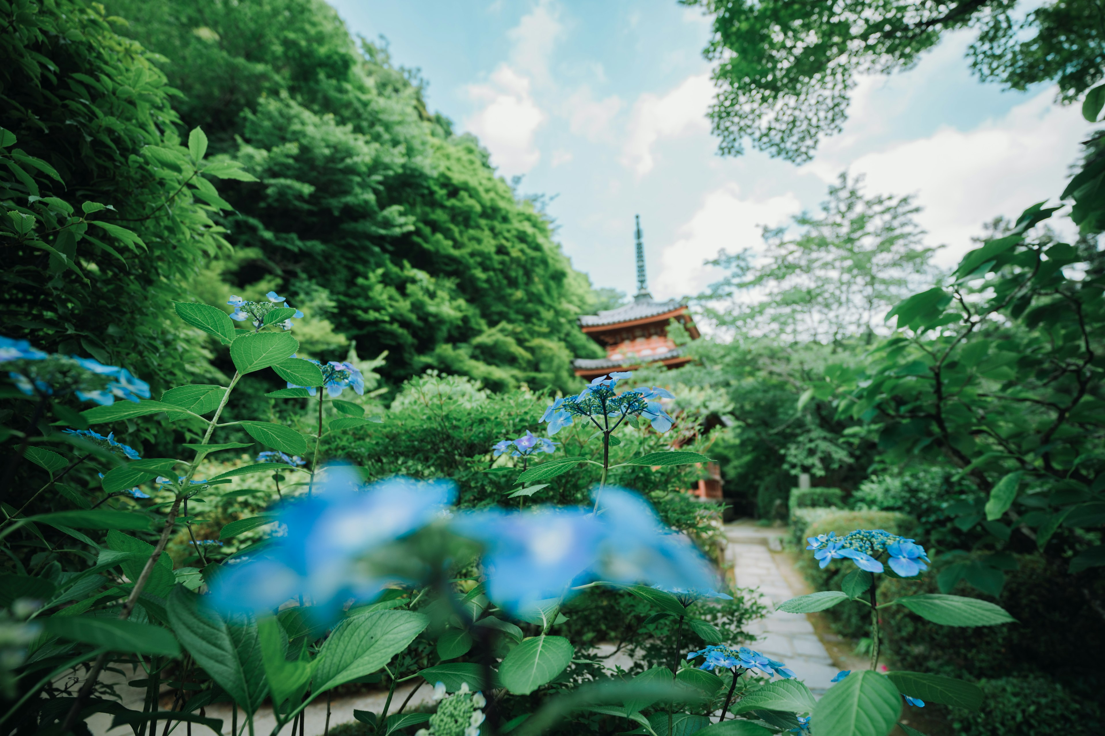 Bangunan tradisional Jepang dikelilingi oleh bunga biru dan vegetasi subur