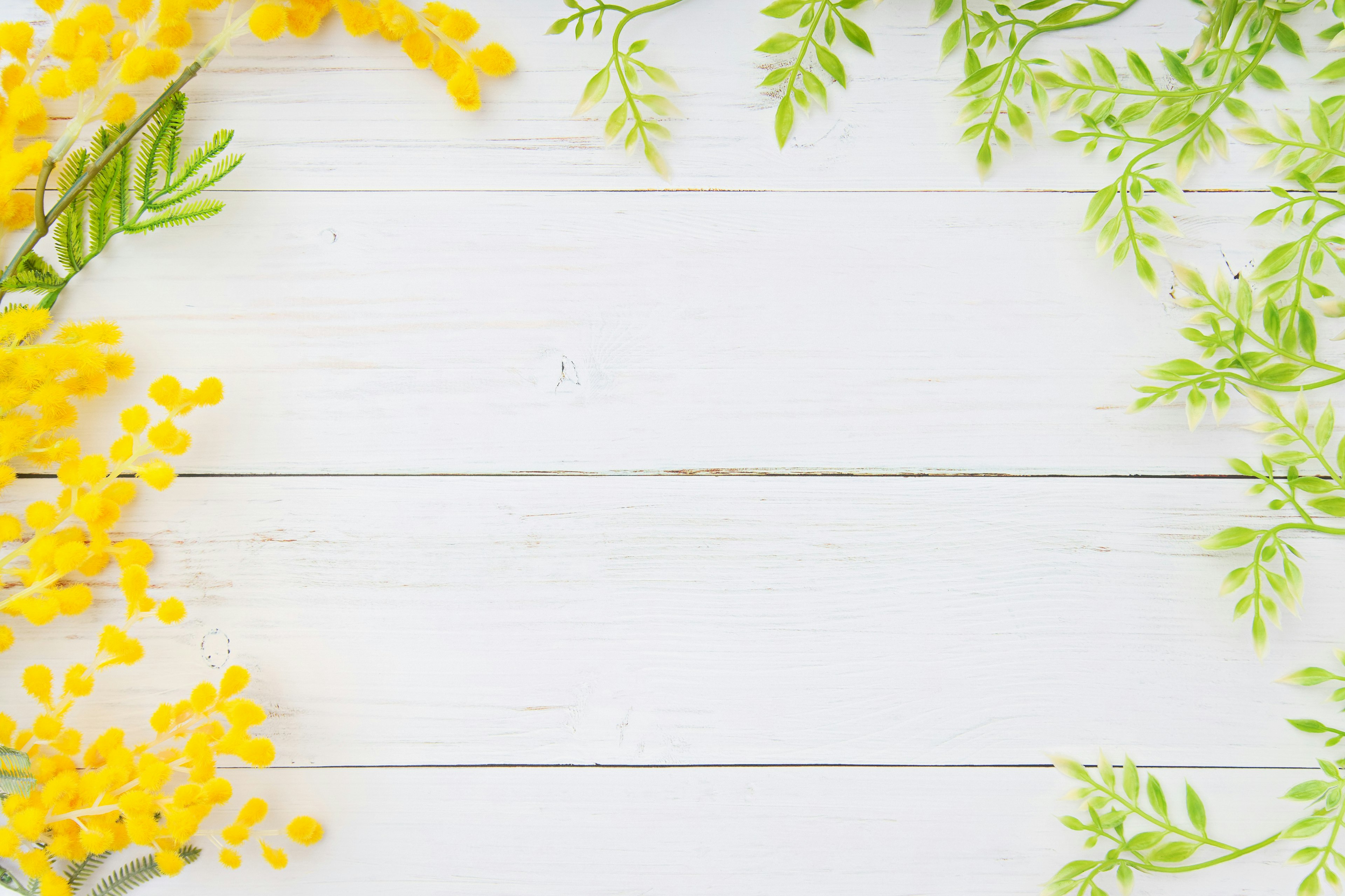 Gelbe Blumen und grüne Blätter auf einem weißen Holztisch angeordnet