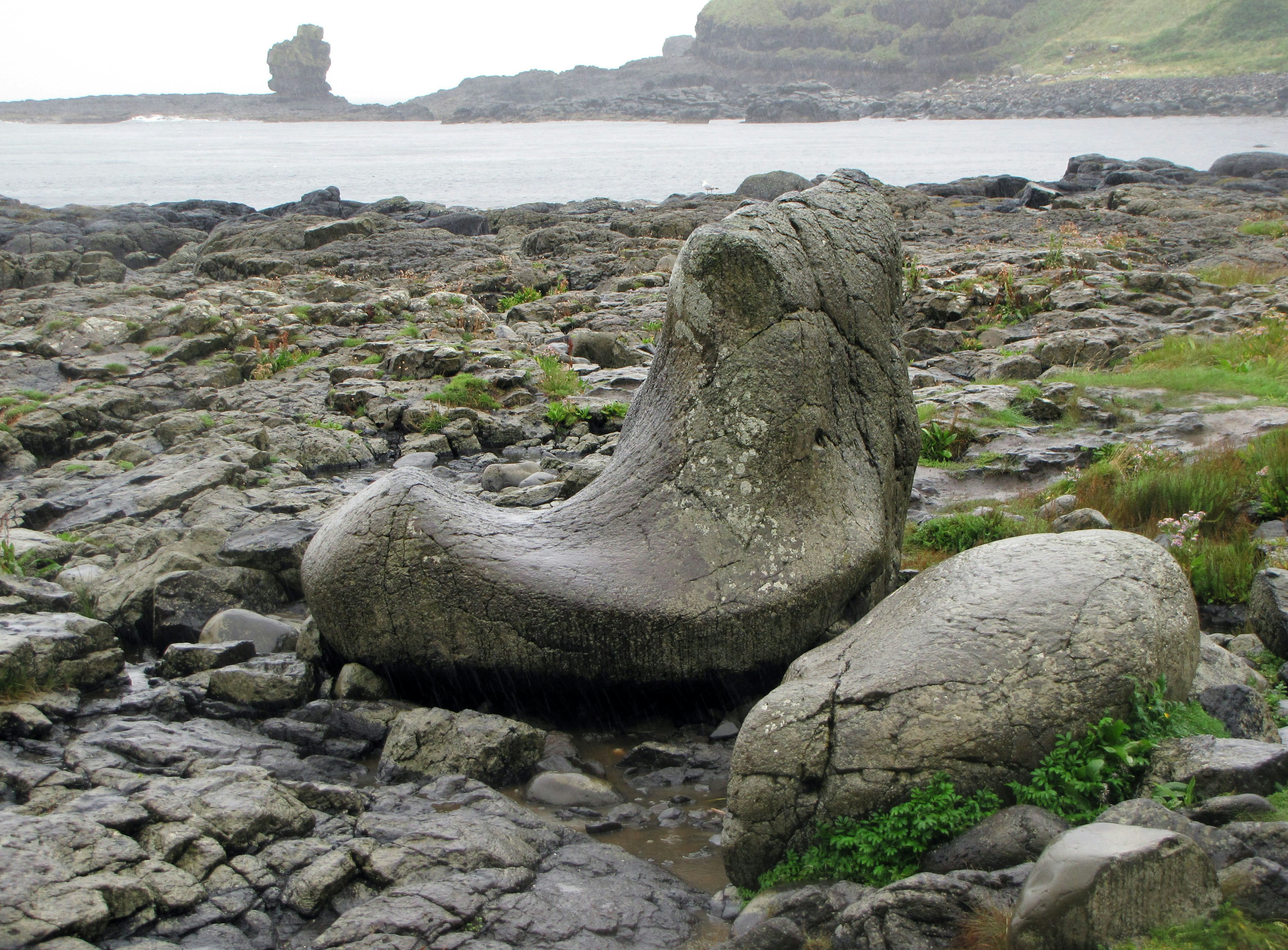 Escultura de piedra única en una costa rocosa junto al mar