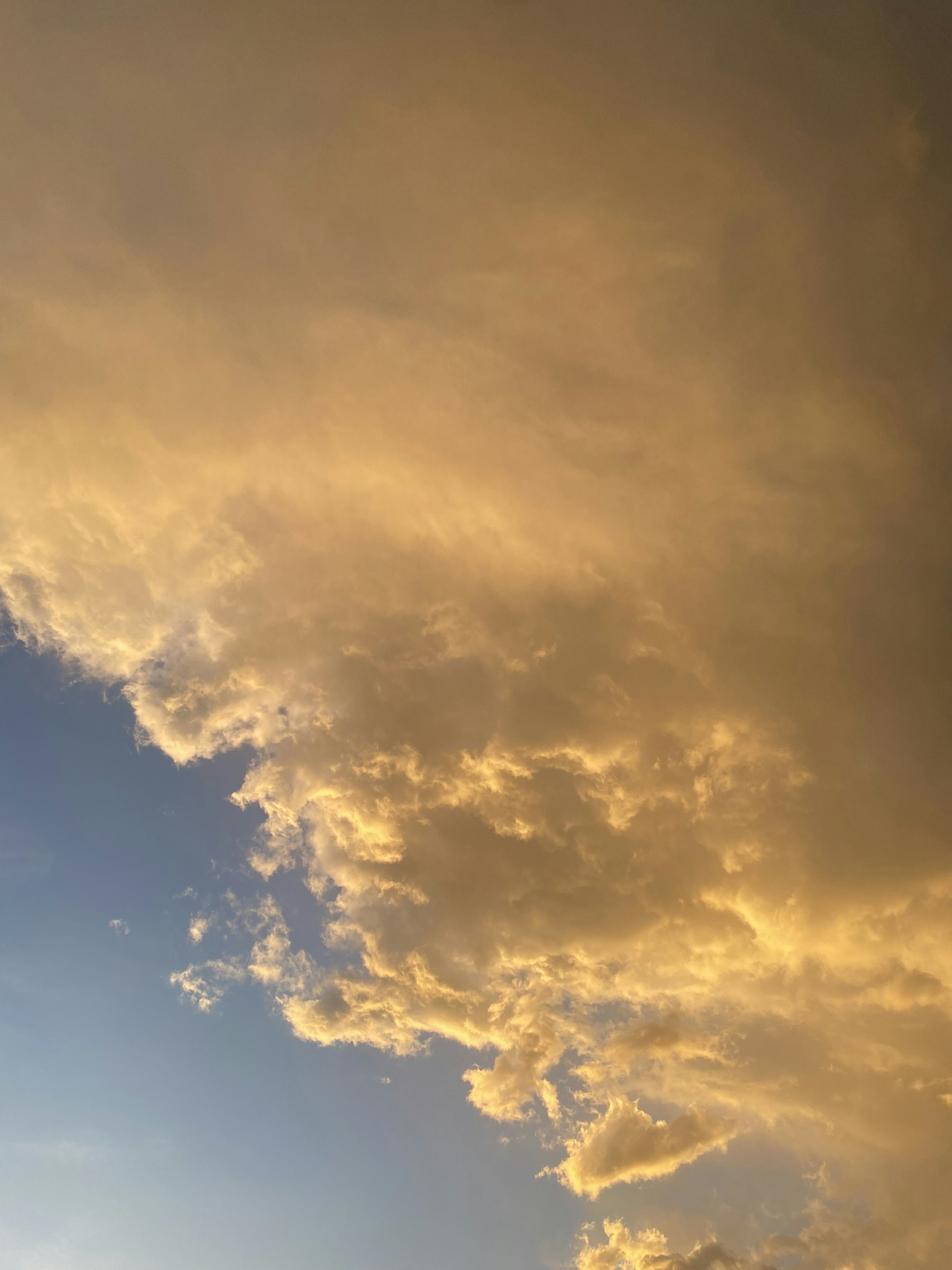 空に広がる黄金色の雲と青い空