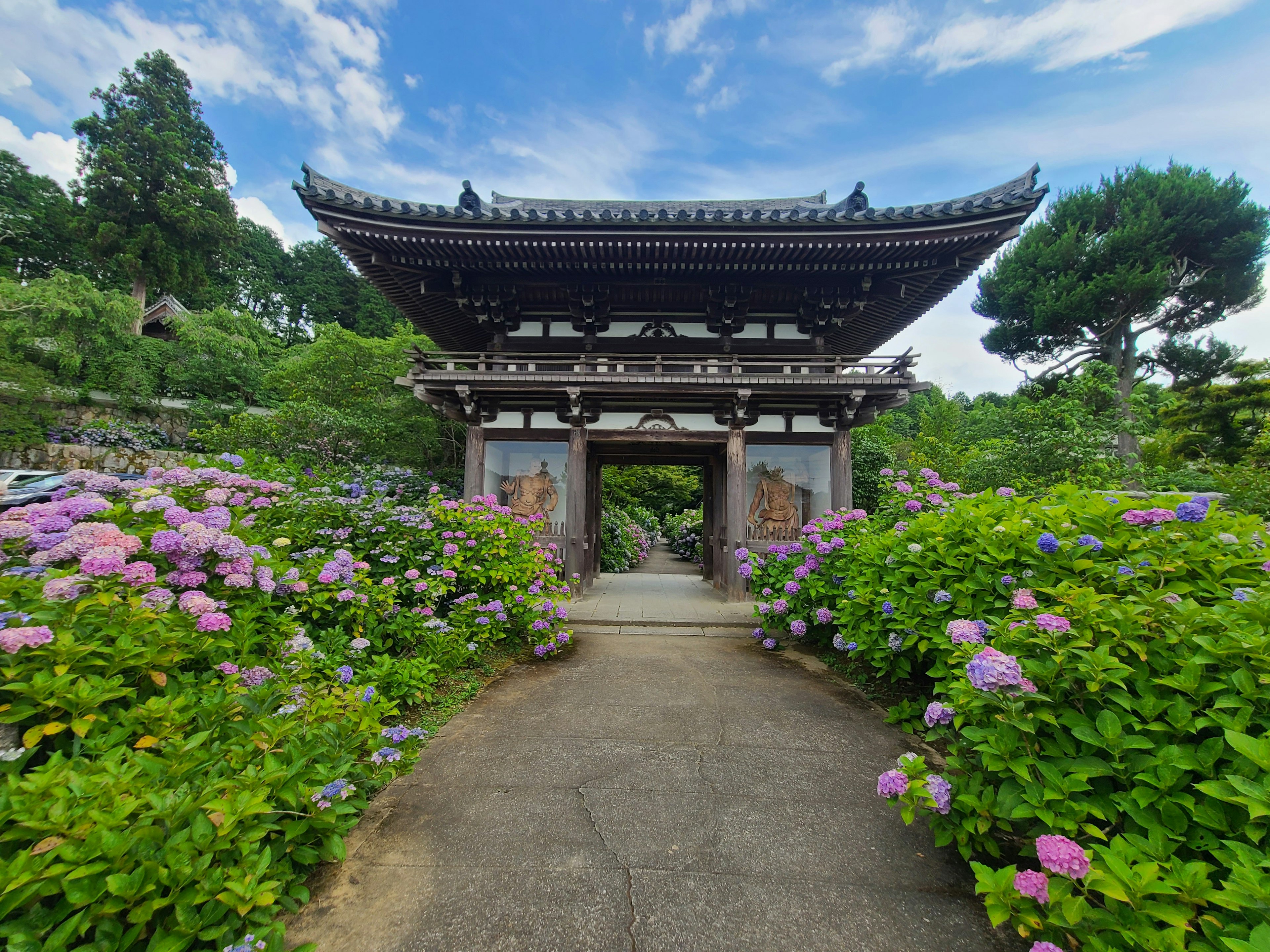 传统日本门被鲜艳的花朵环绕