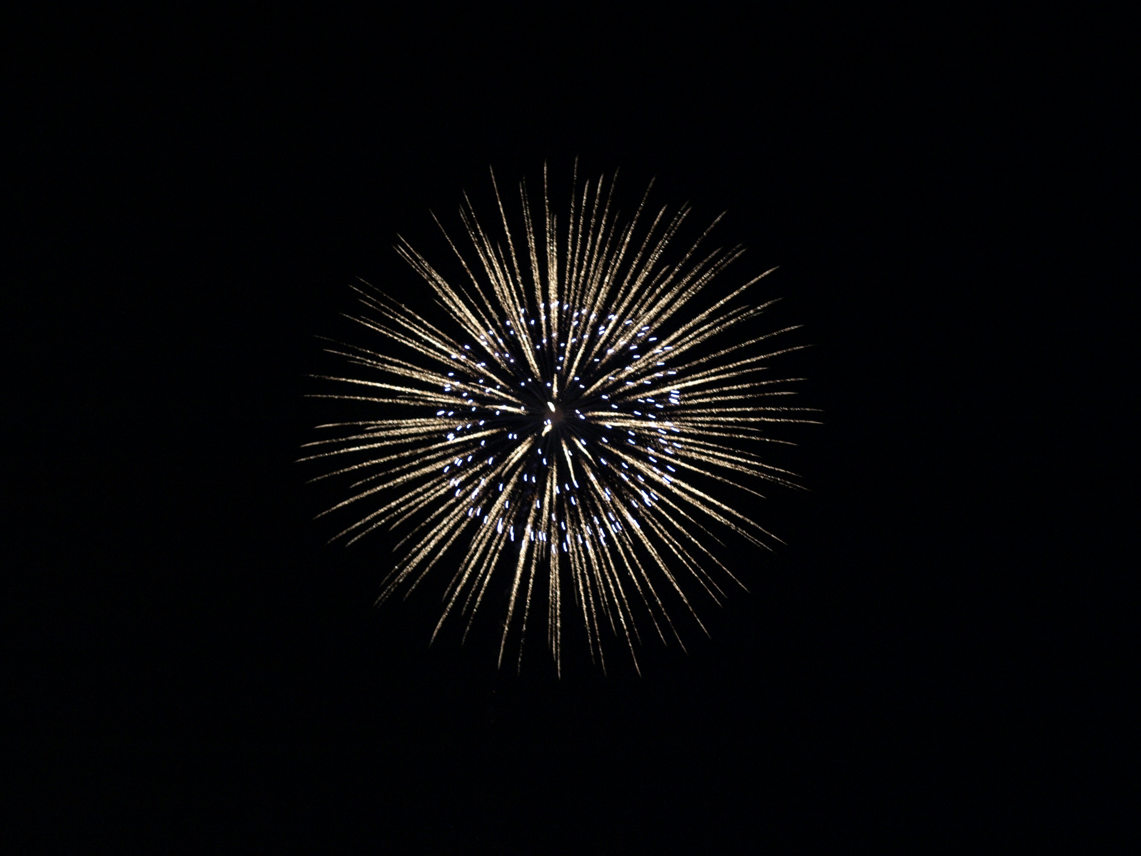 Explosión de fuegos artificiales que irradian desde un punto central sobre un fondo negro