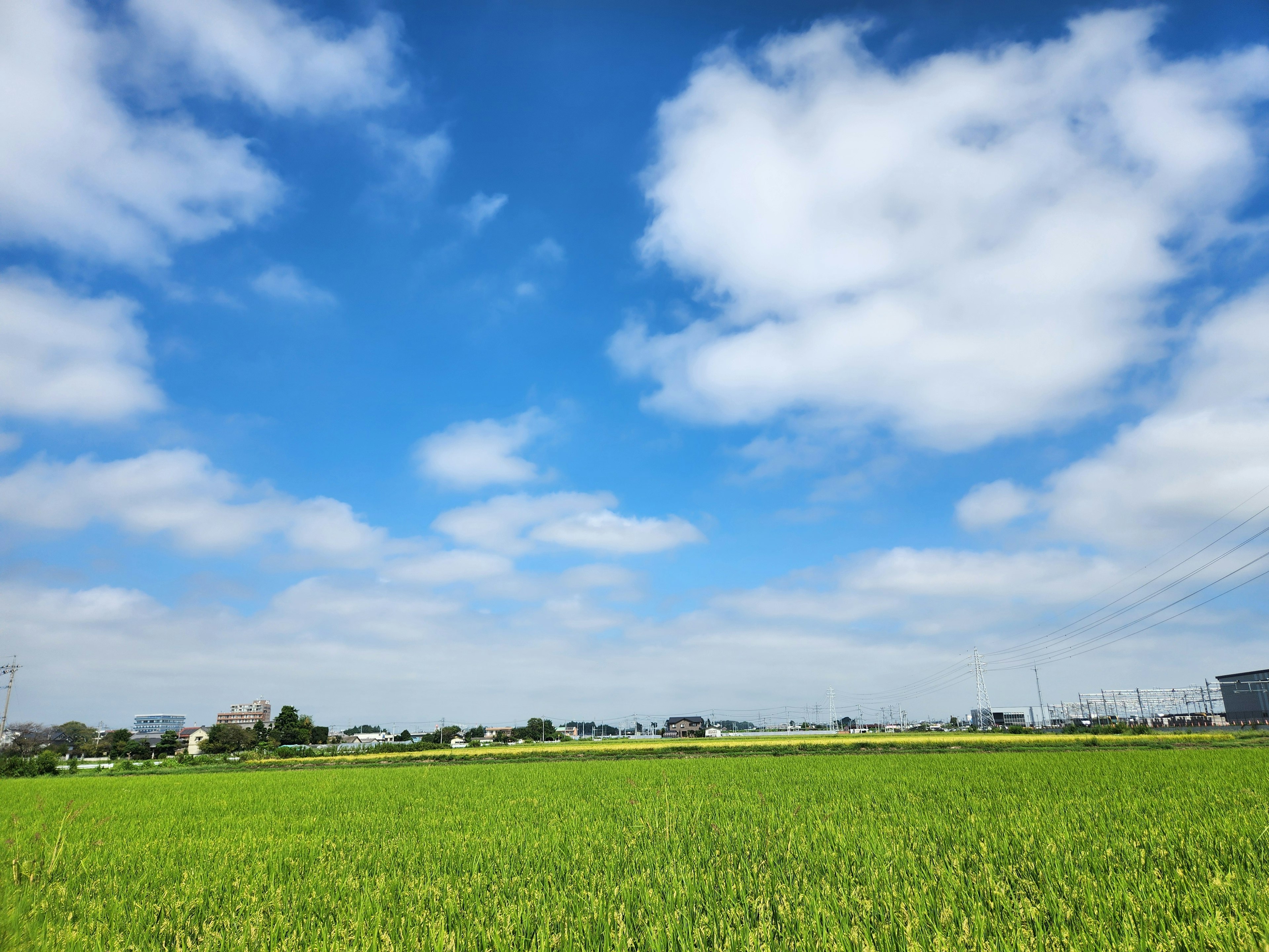 青空と白い雲が広がる美しい田園風景