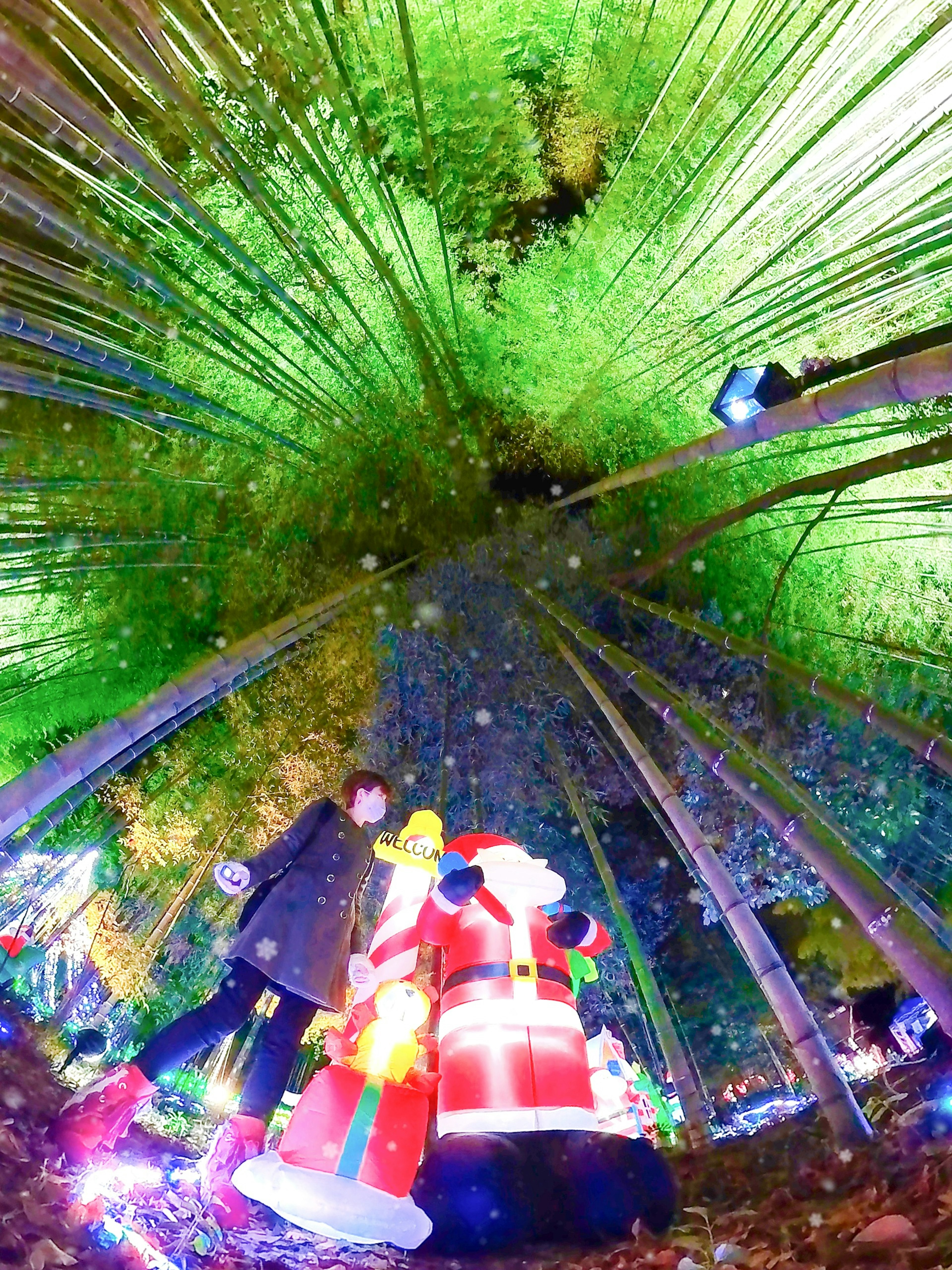 Un bosque de bambú decorado para Navidad con luces coloridas y una figura de Santa