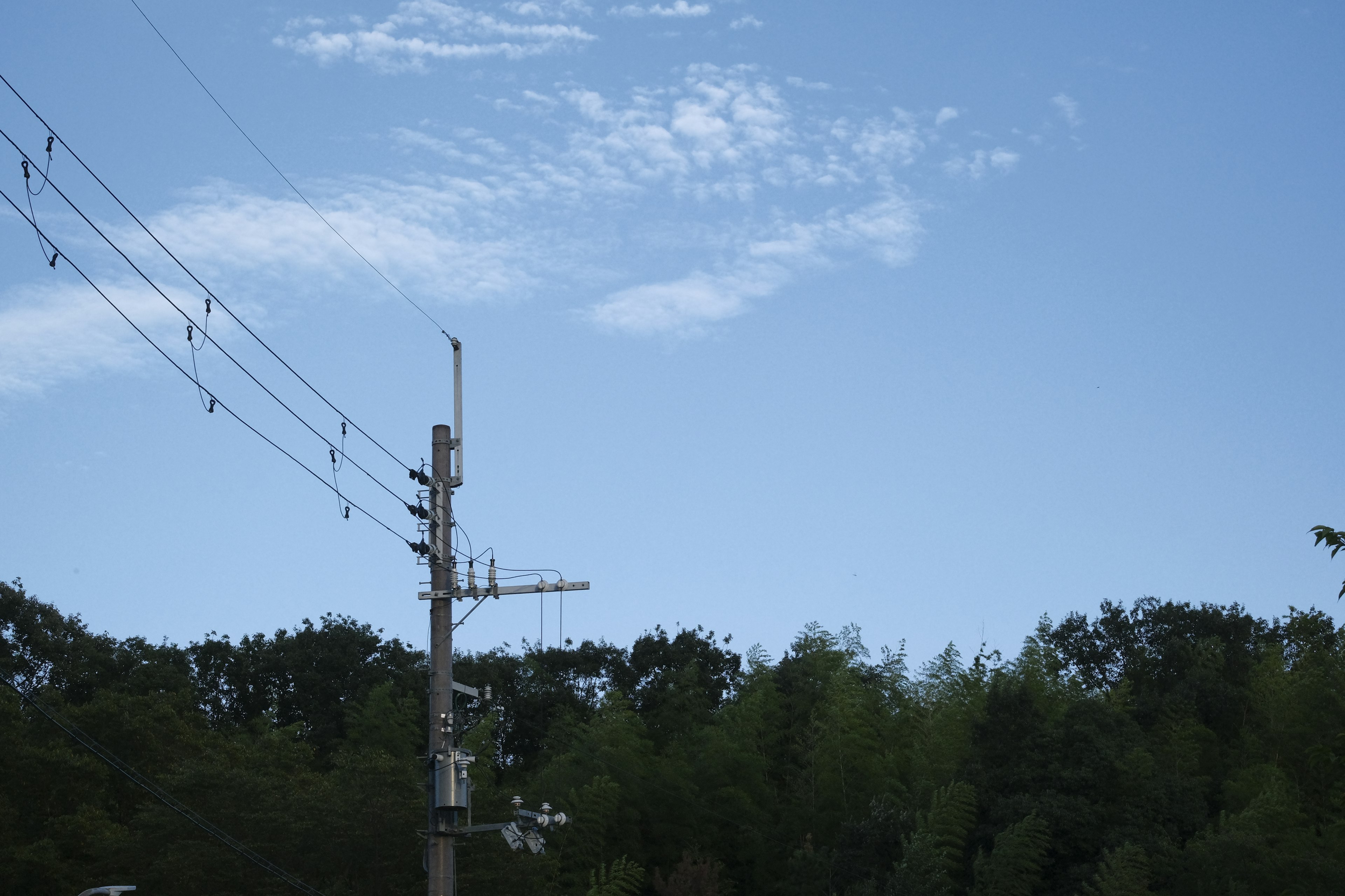 Palo elettrico contro un cielo blu chiaro con alberi sullo sfondo