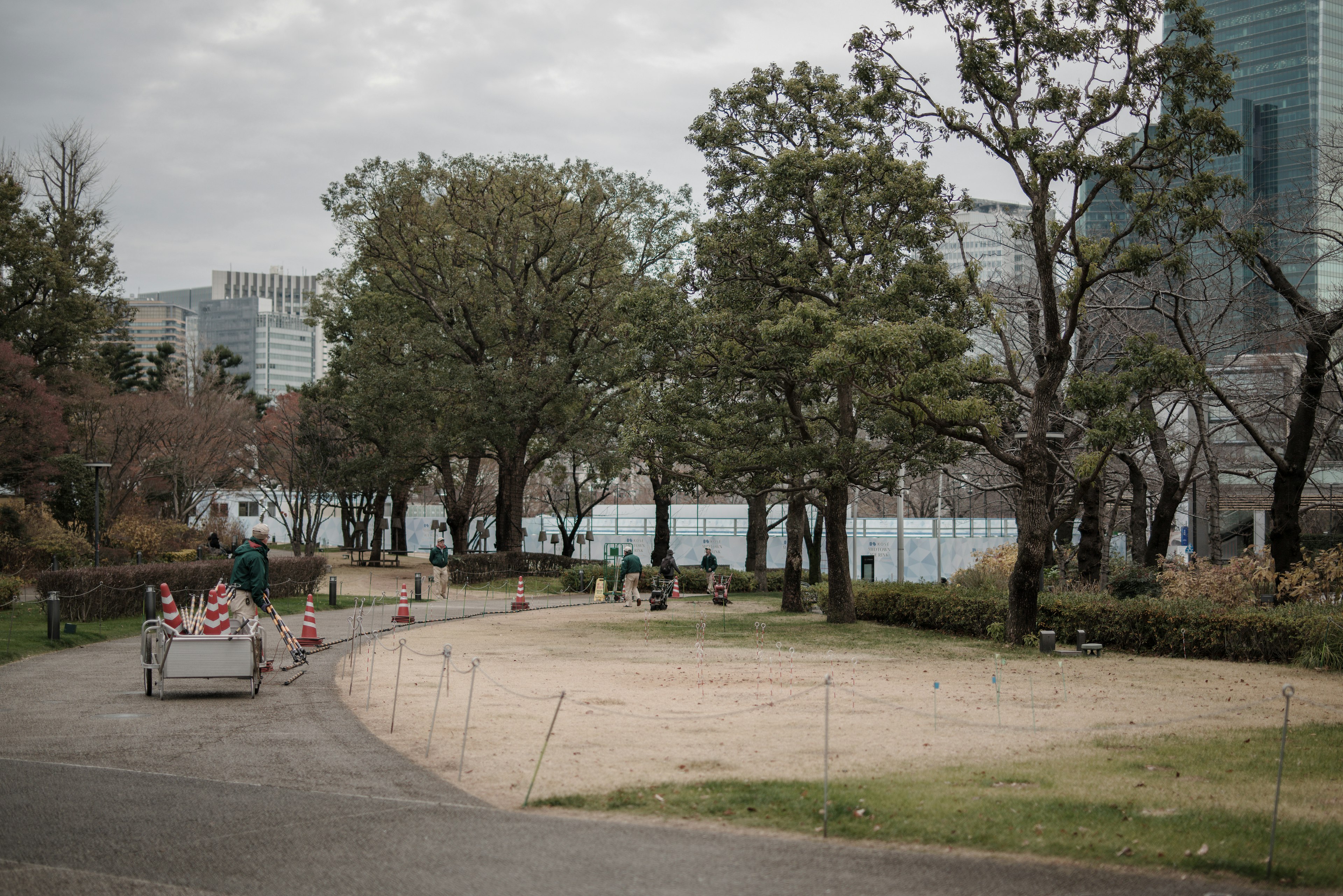 Un chemin de parc avec des arbres et une zone de sable