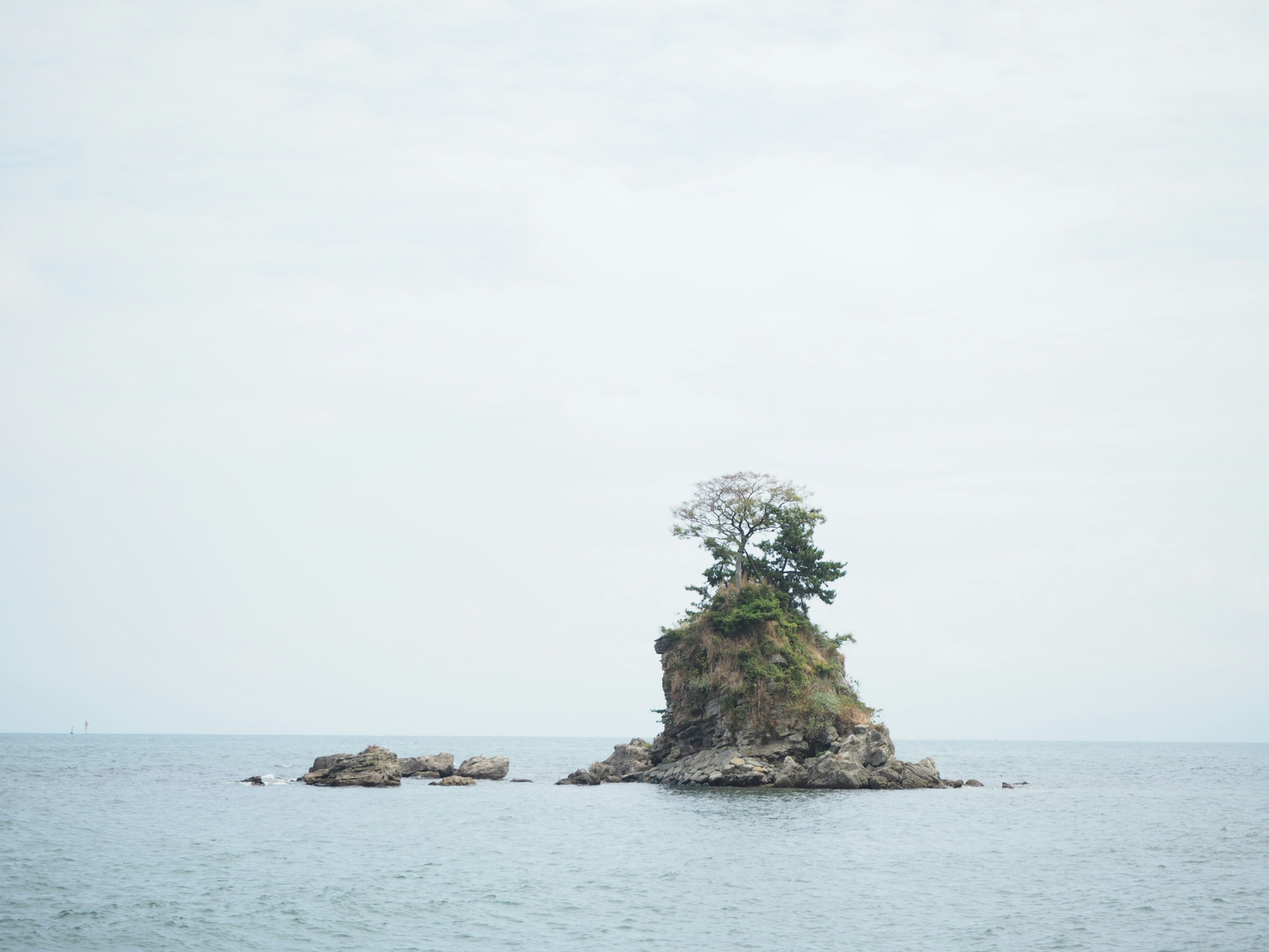 Sebuah pulau kecil dengan pohon di laut