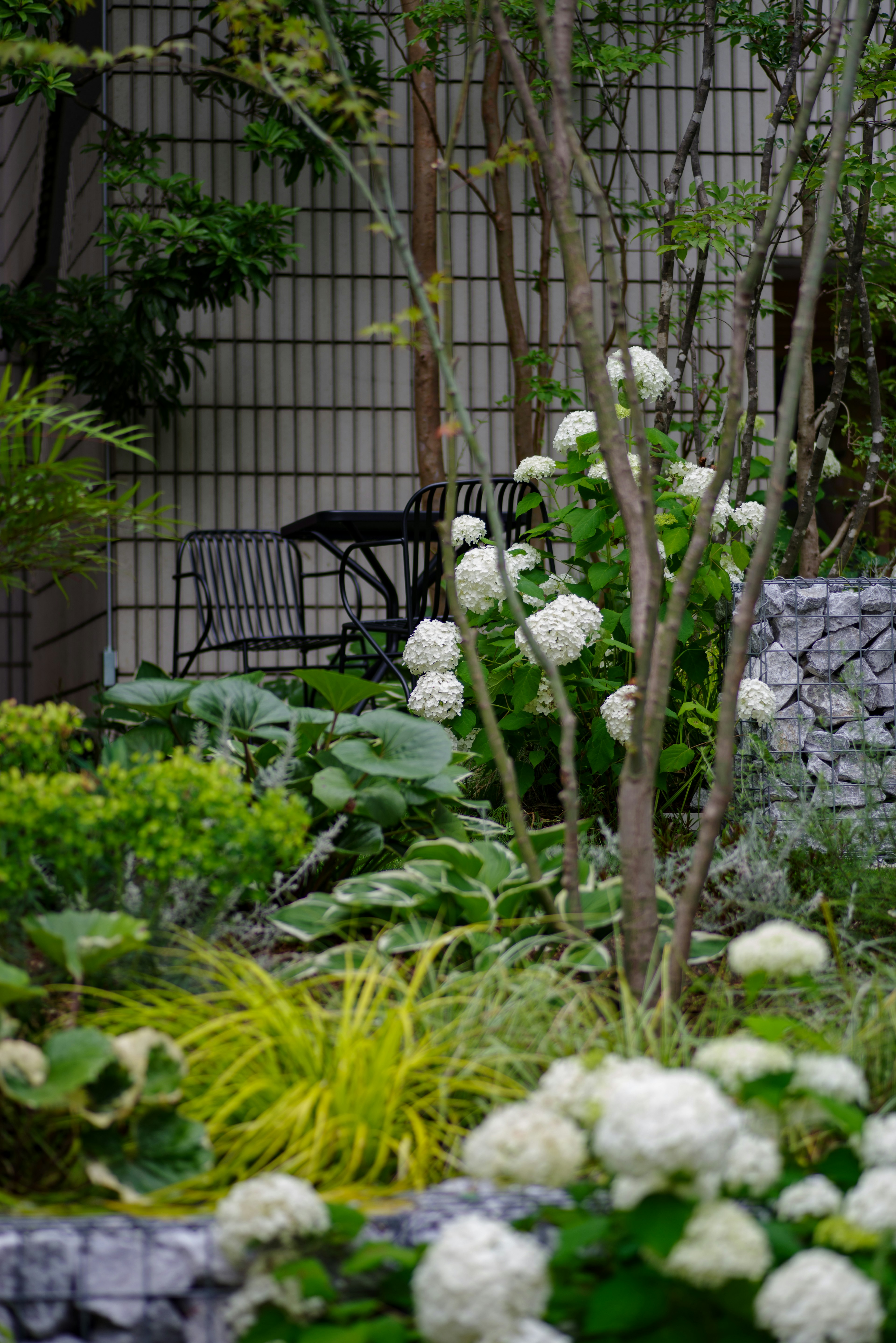 Jardín exuberante con flores blancas y vegetación con un área de descanso acogedora