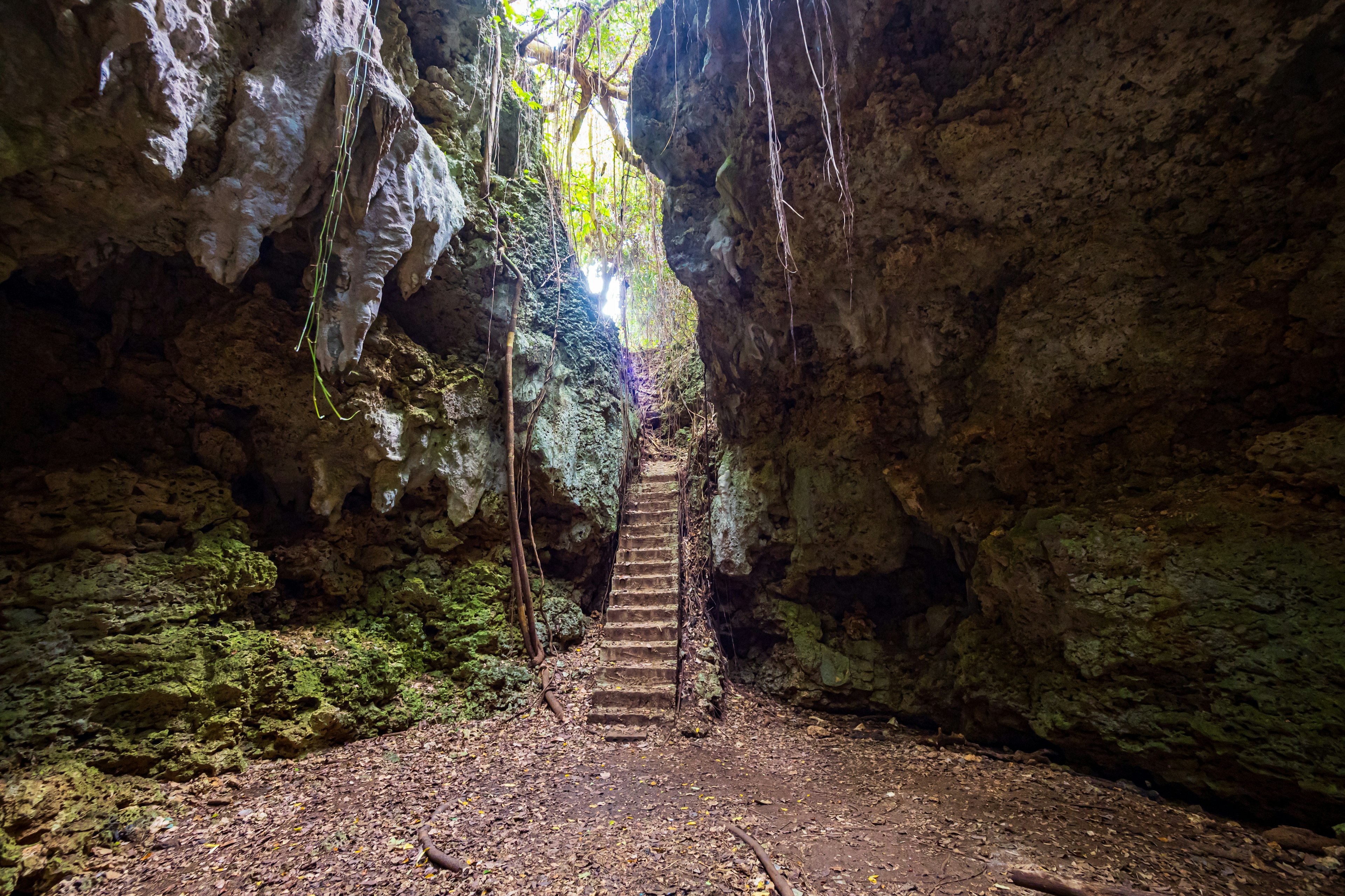 Interior of a cave with stairs green plants and rocky walls