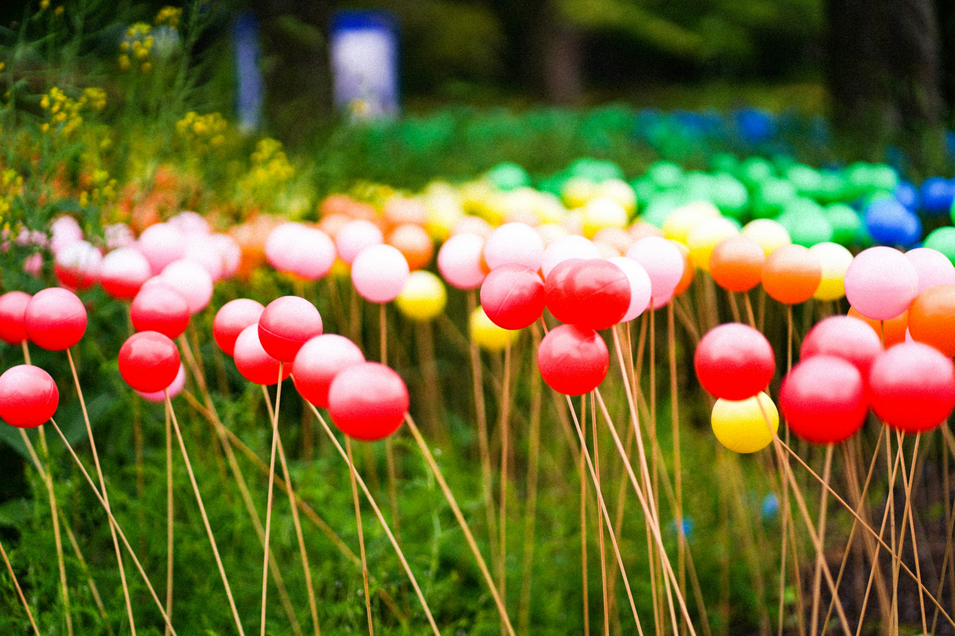 Des boules colorées sur des bâtons disposées dans un cadre extérieur vibrant