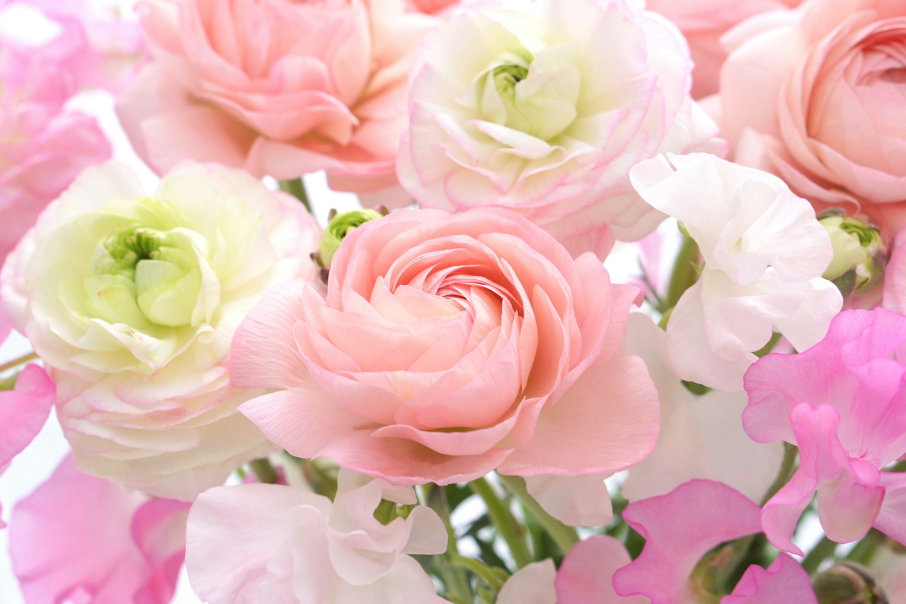 Bouquet of soft-colored roses and sweet peas