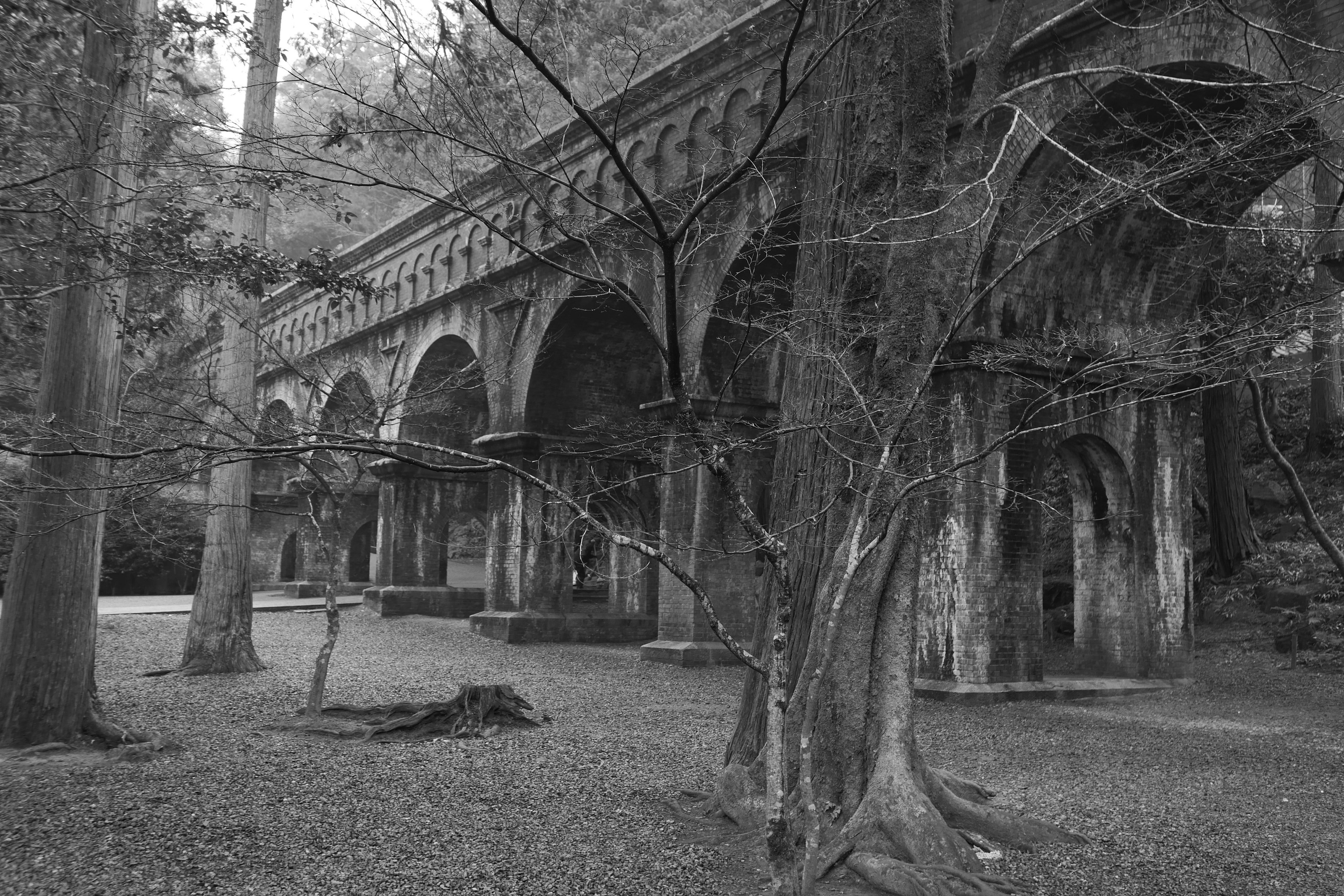 Ancien pont en pierre à arches entouré d'arbres