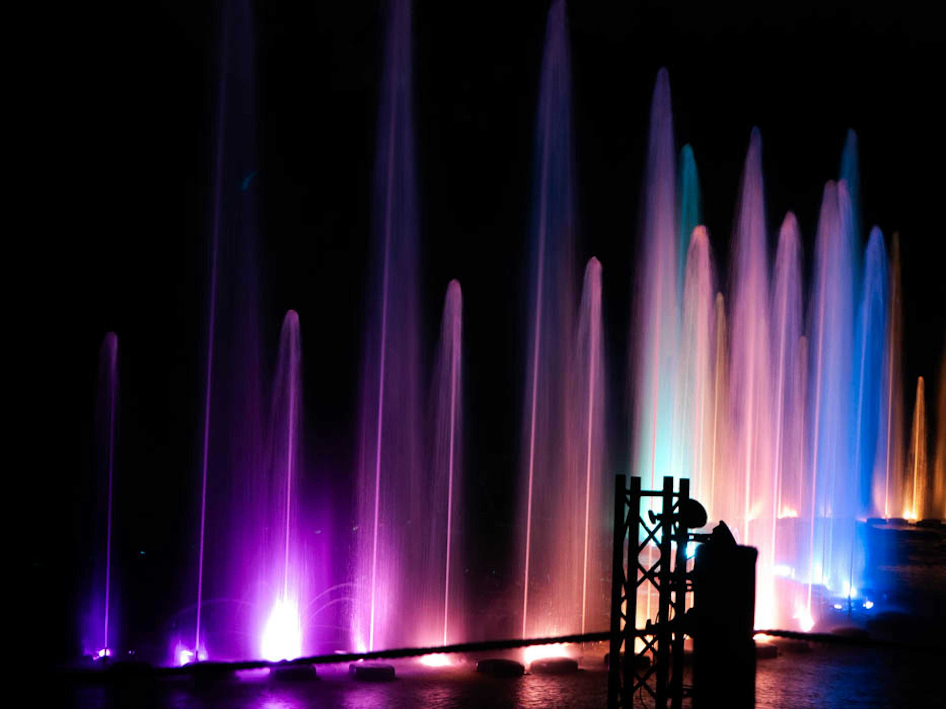 Colorful fountains illuminated at night creating a stunning display