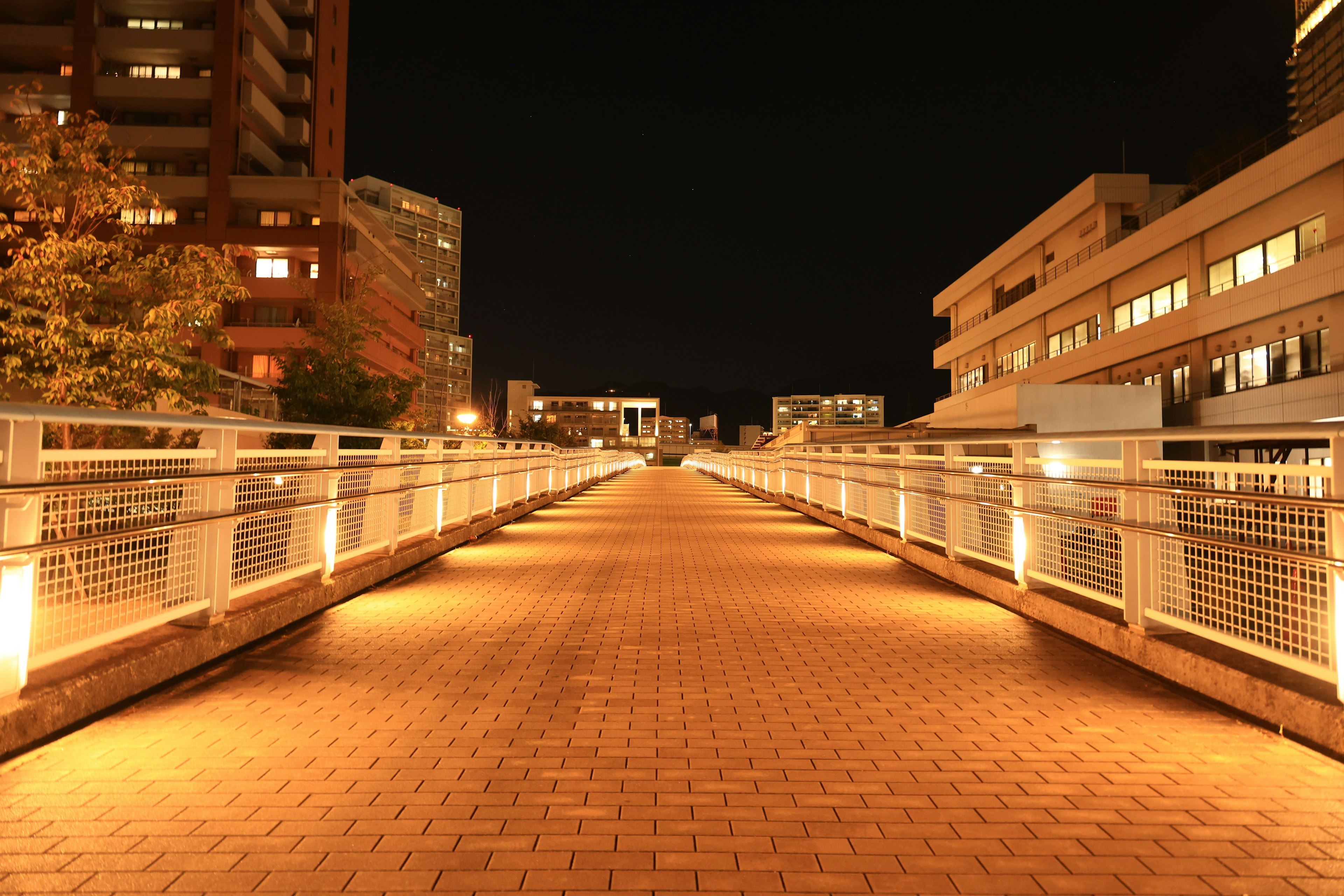 Vista nocturna de un puente peatonal iluminado por luces a ambos lados