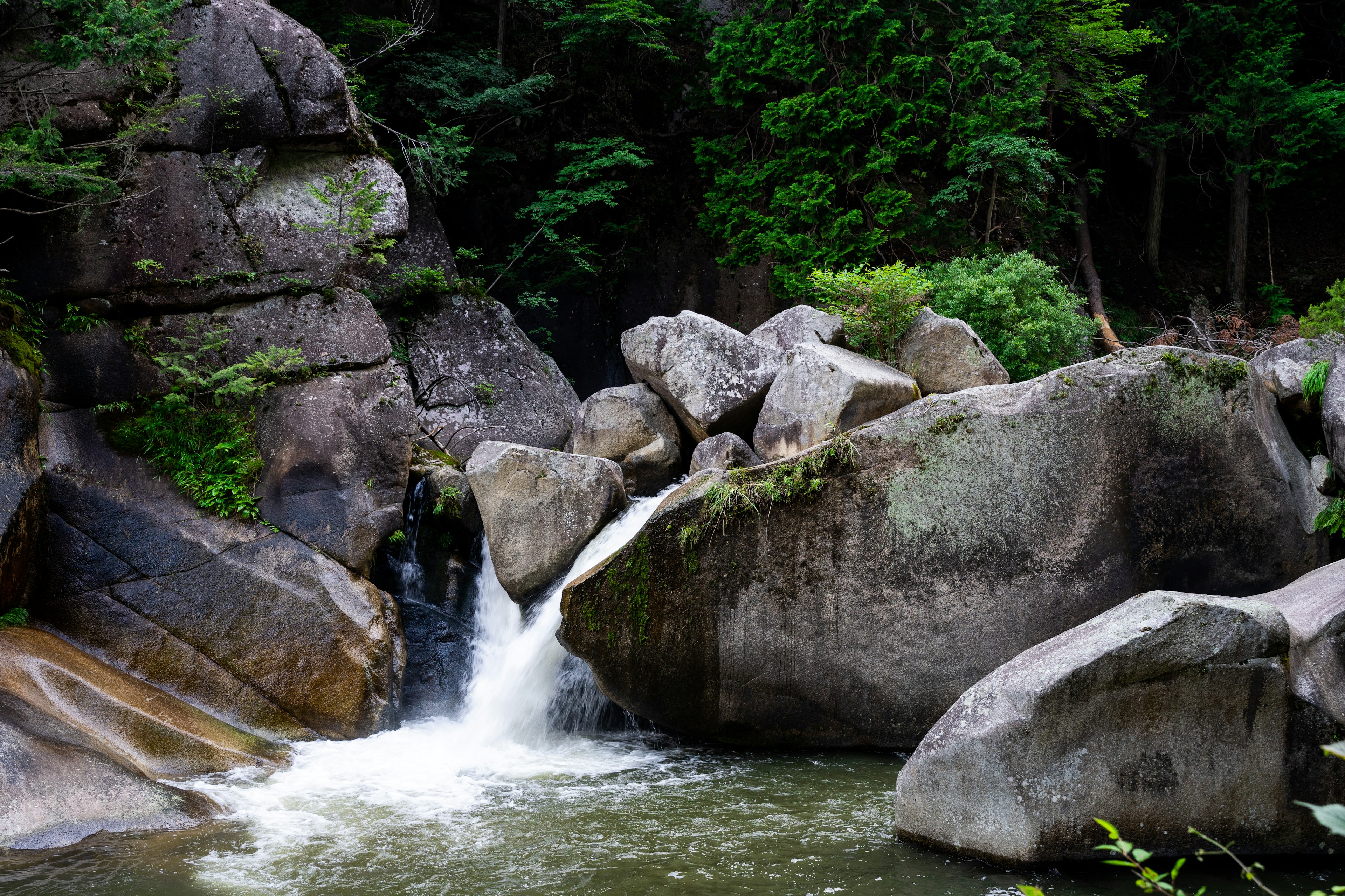 A small waterfall surrounded by lush green forest and large rocks