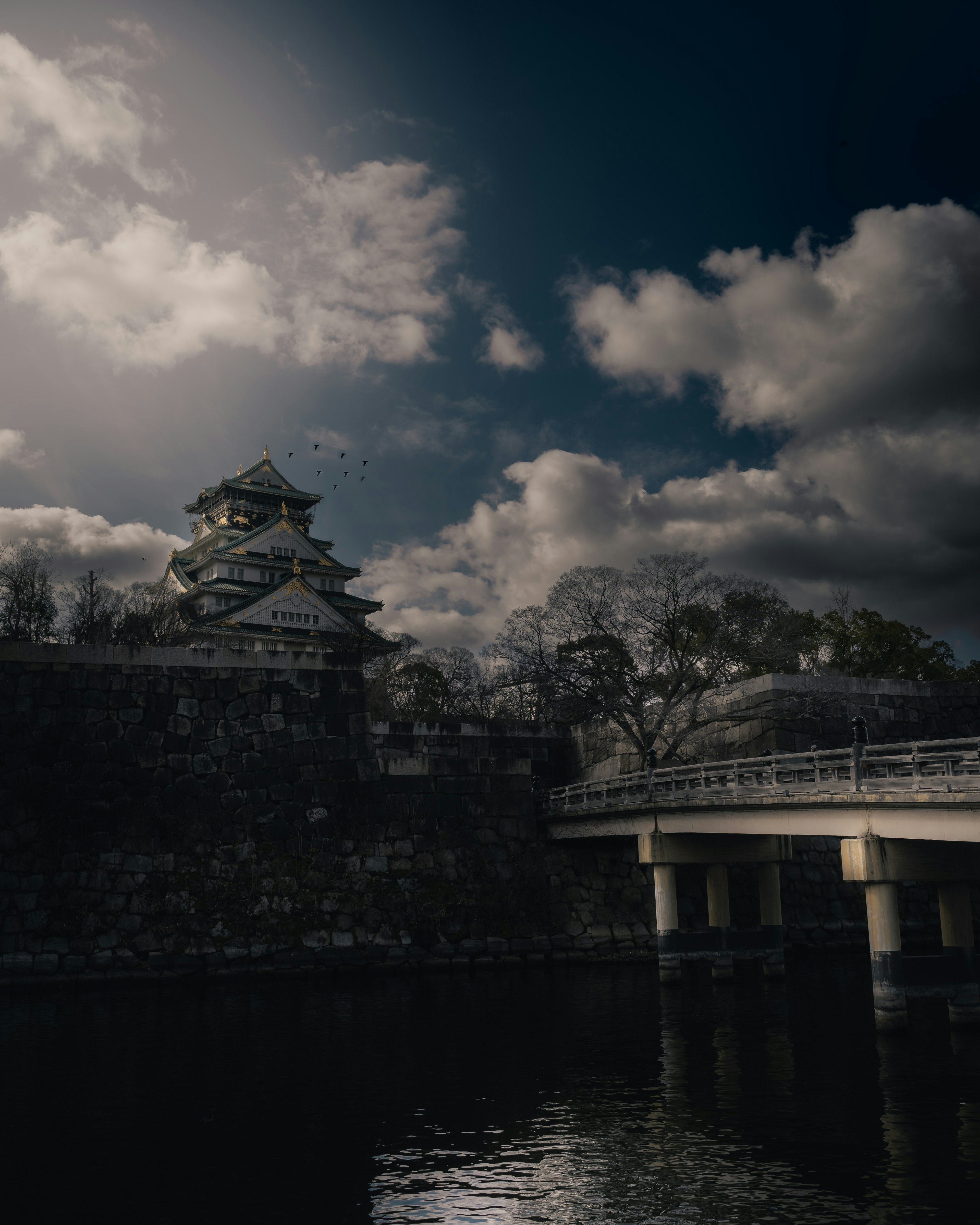 暗い空の下にある城と橋の風景