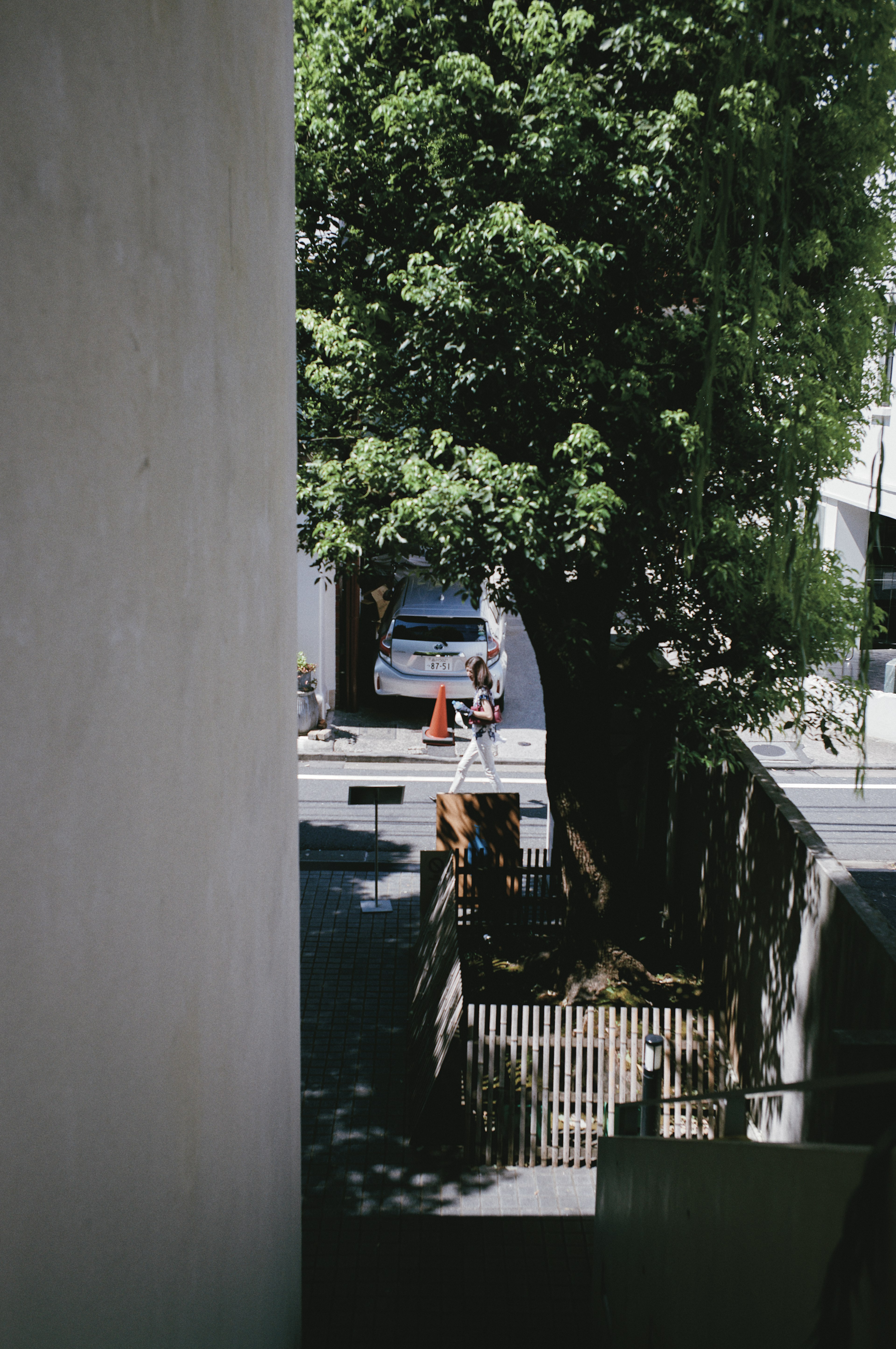 青い車と大きな木がある通りの風景