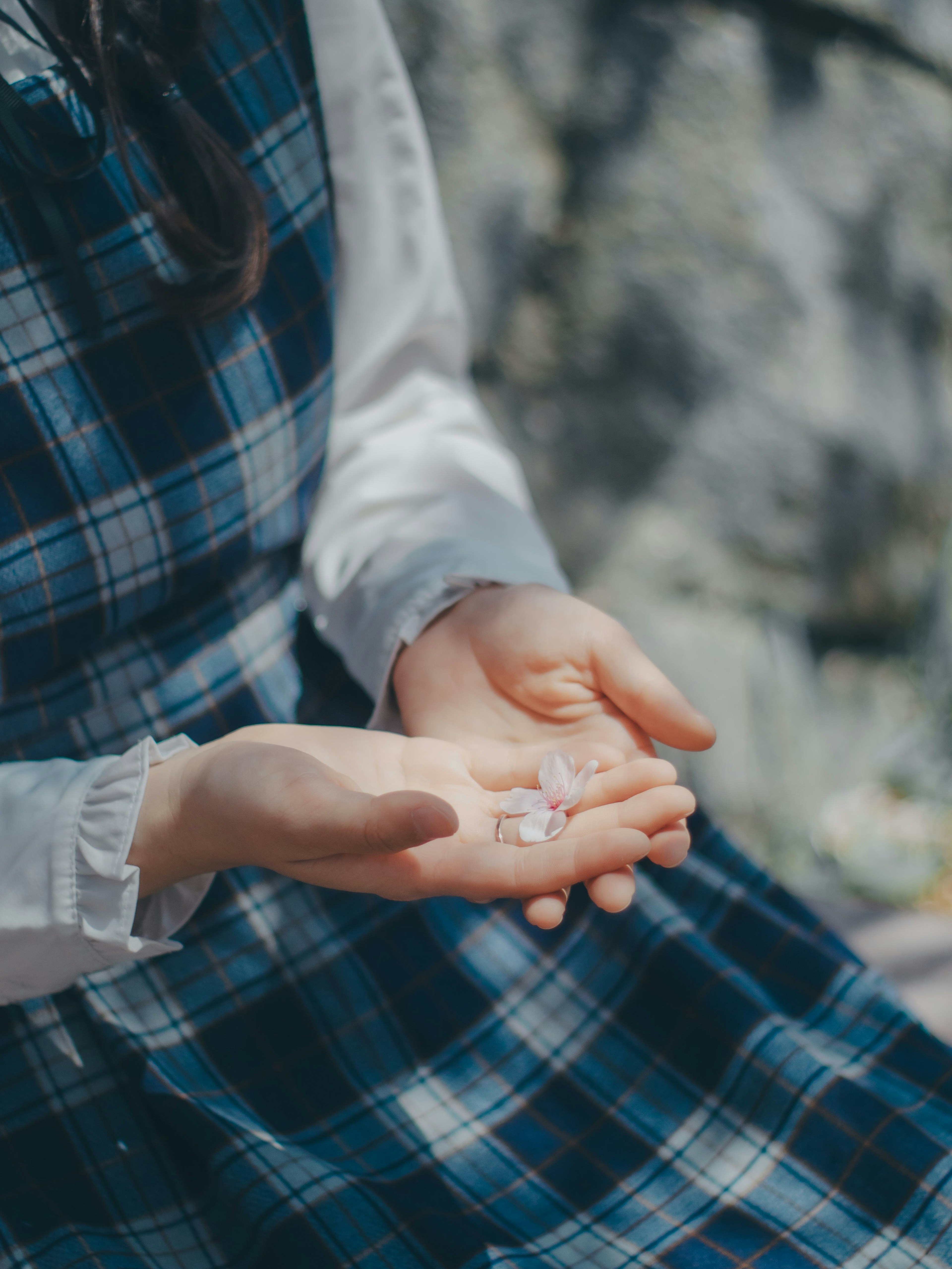 穿着蓝色格子裙的女人手中拿着小花瓣