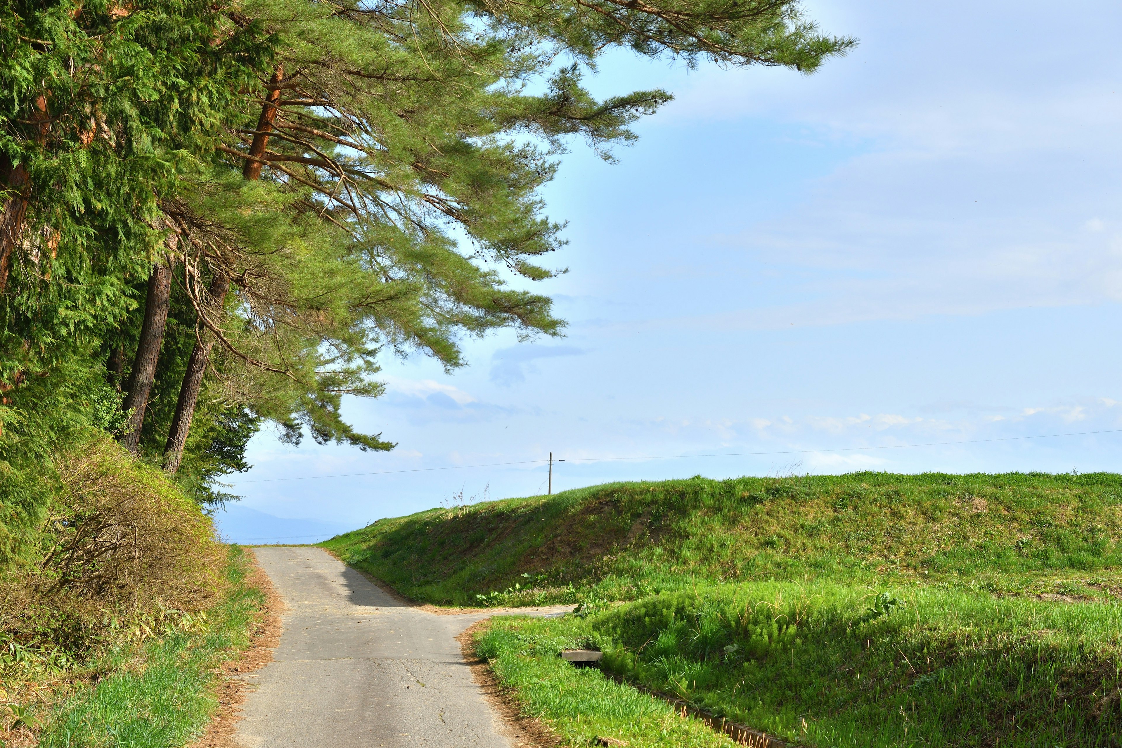 Une route pittoresque entourée d'arbres et de champs verts sous un ciel bleu