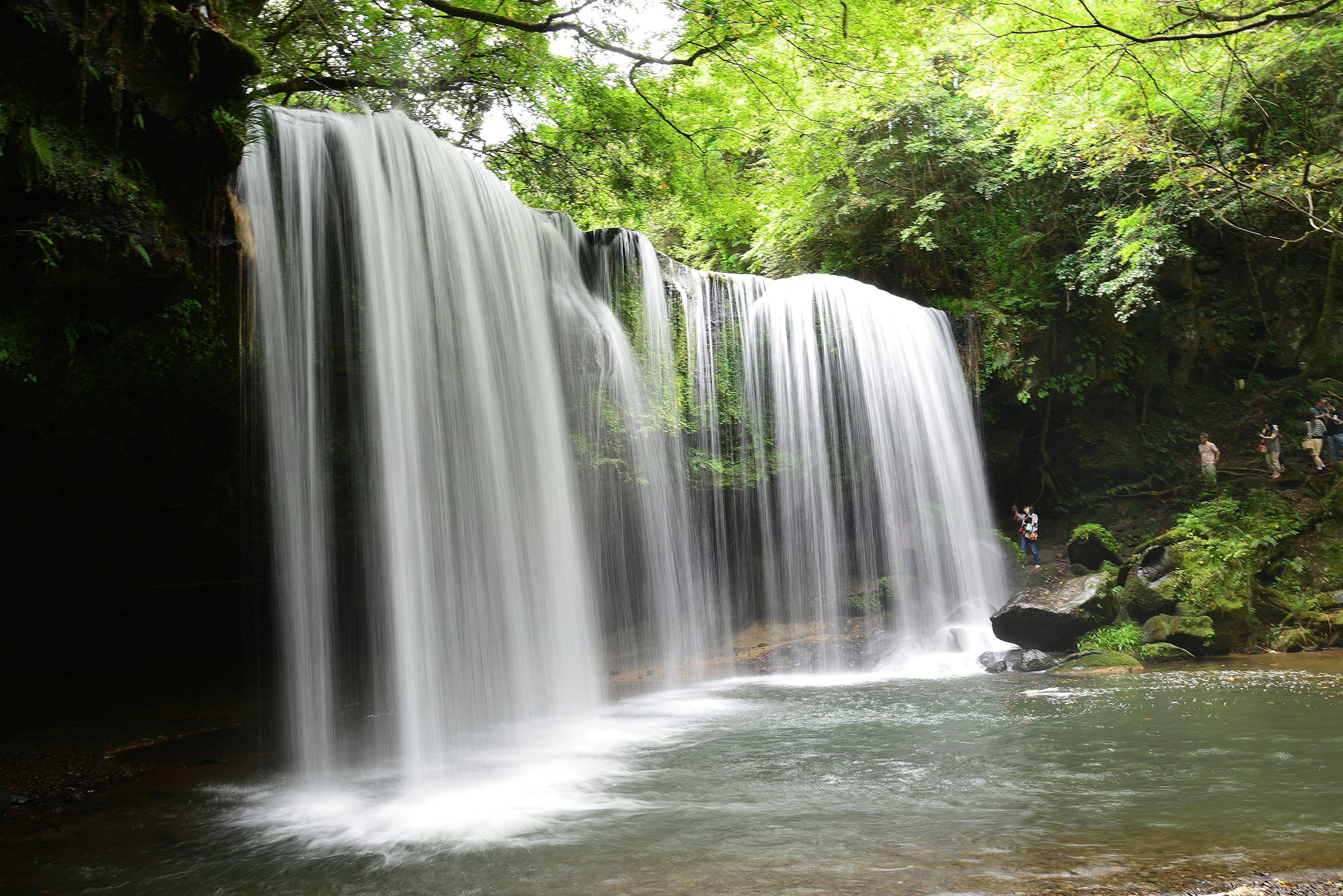 Hermosa cascada cayendo en un bosque verde